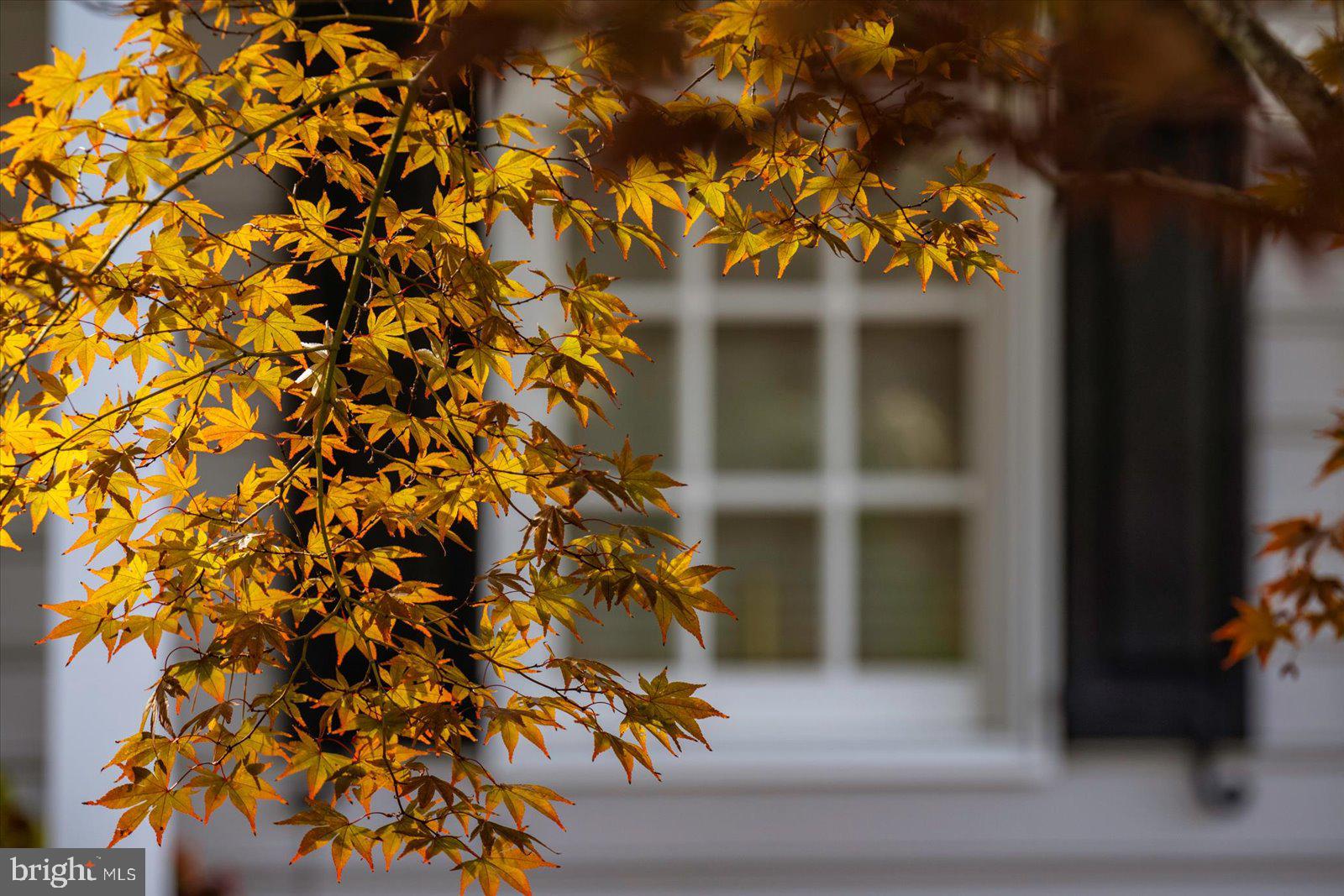 OCEAN PINES - MUMFORD'S WOODS - Residential