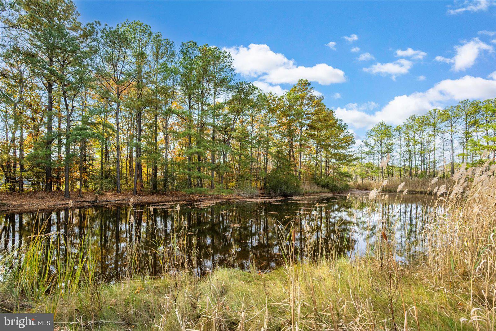 OCEAN PINES - MUMFORD'S WOODS - Residential