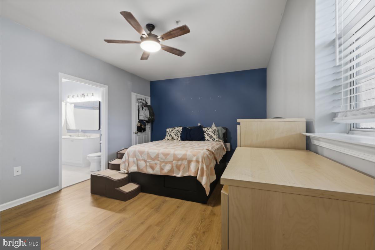 SYCAMORE MEWS - Residential