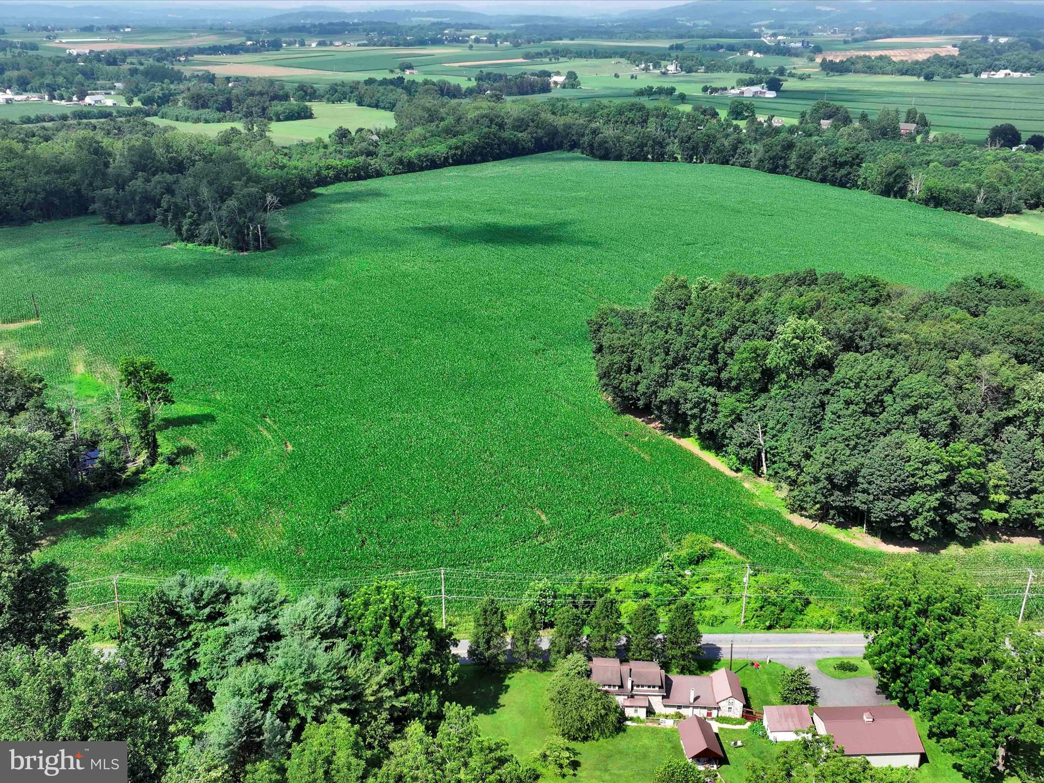 NONE AVAILABLE - Farm