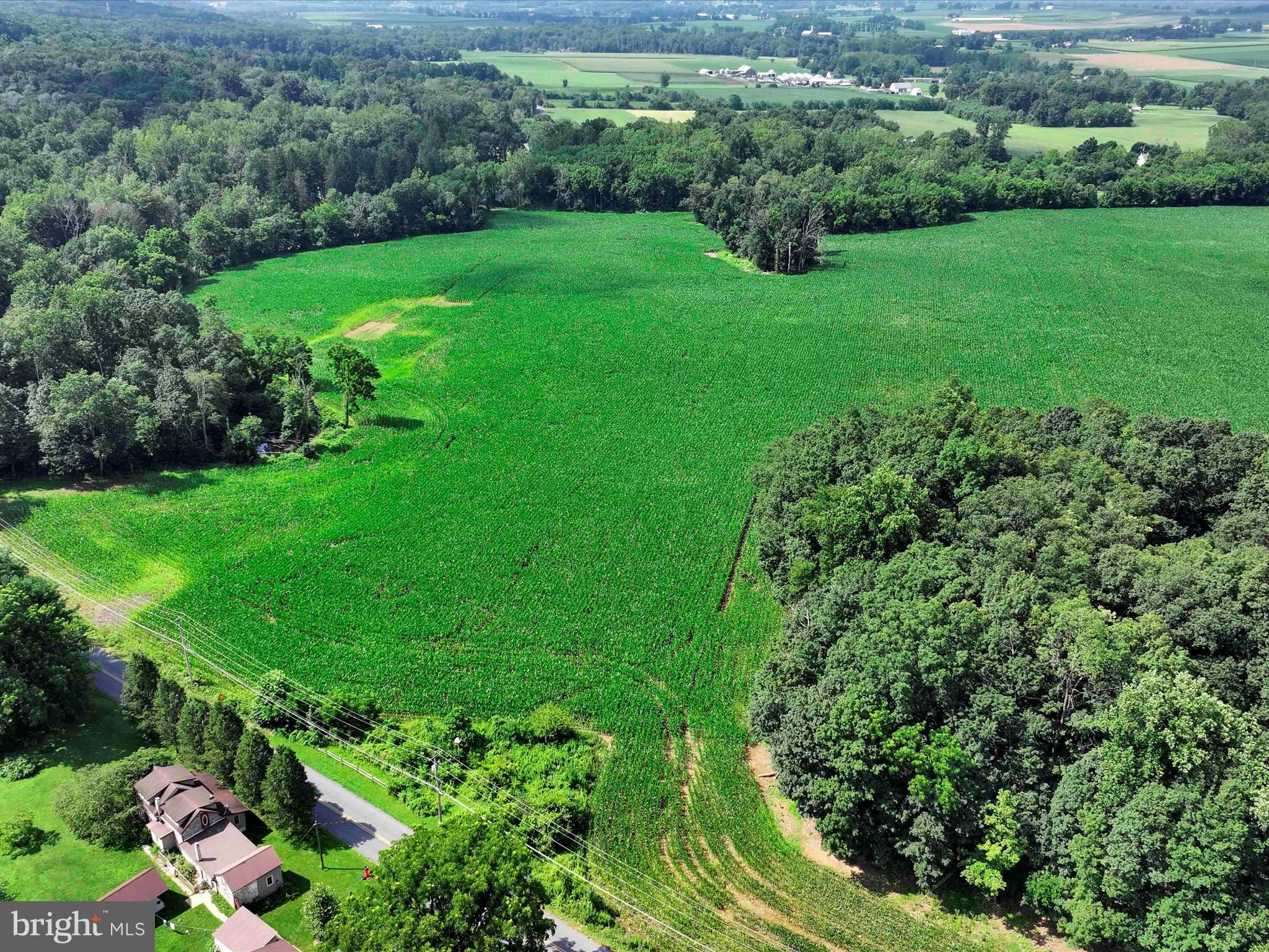 NONE AVAILABLE - Farm