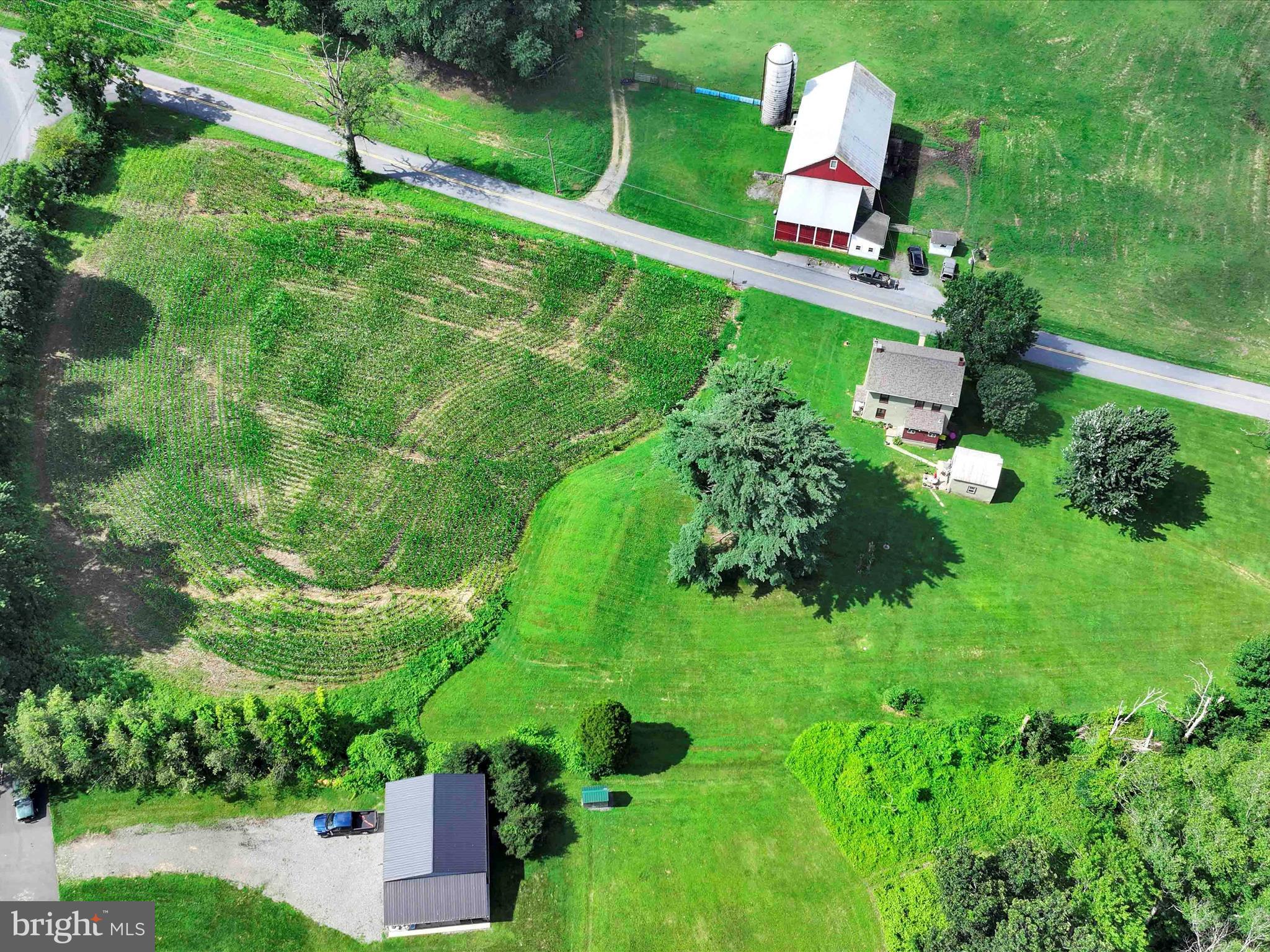 NONE AVAILABLE - Farm