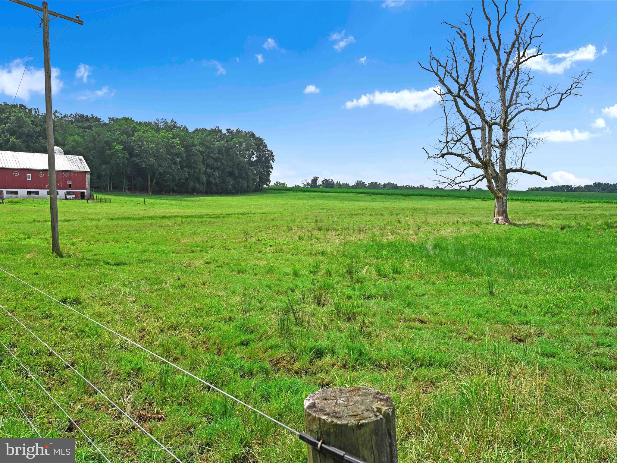 NONE AVAILABLE - Farm