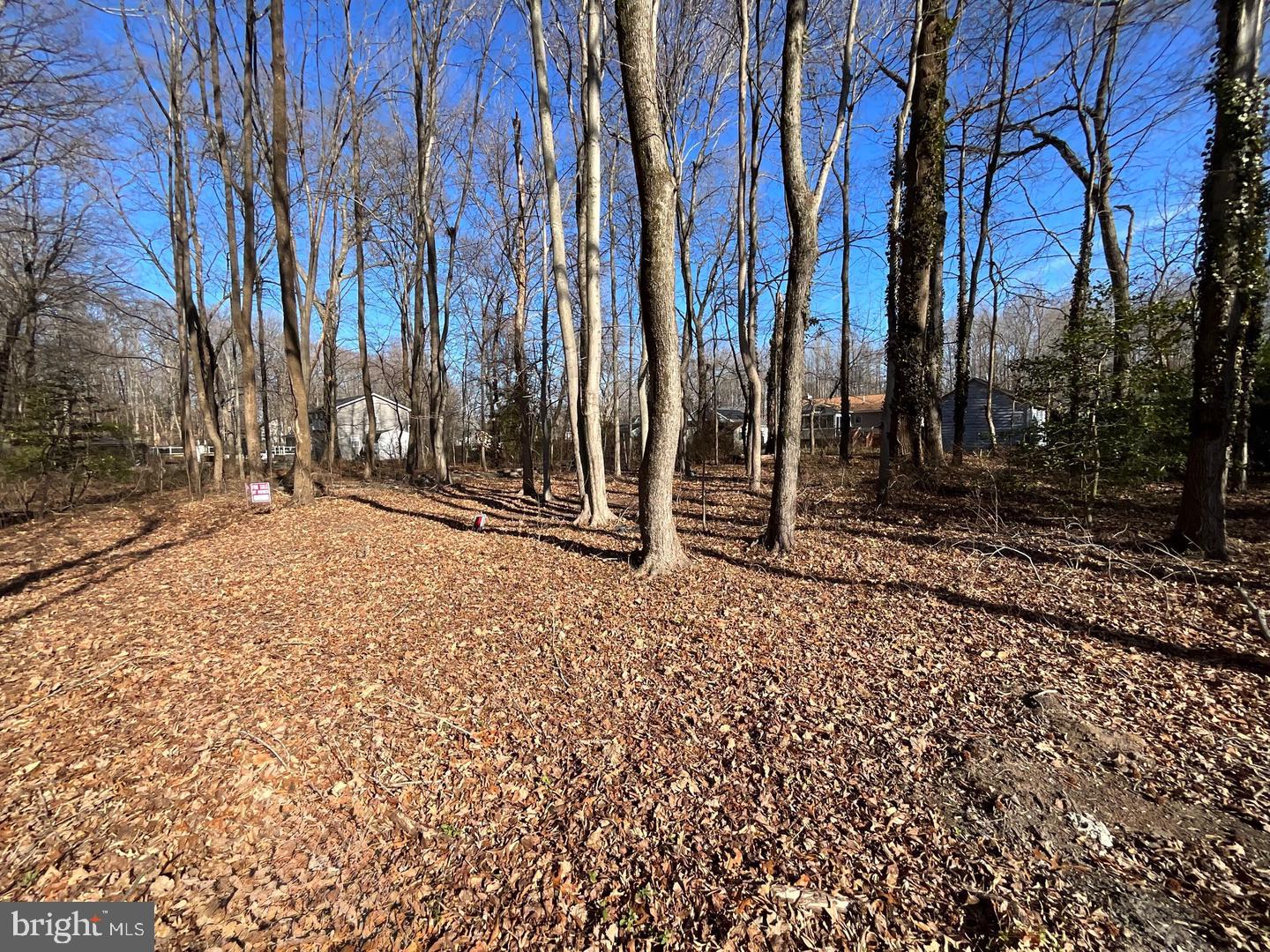 HOLLY NECK ROAD