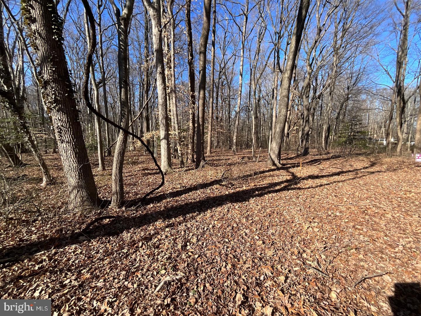 HOLLY NECK ROAD
