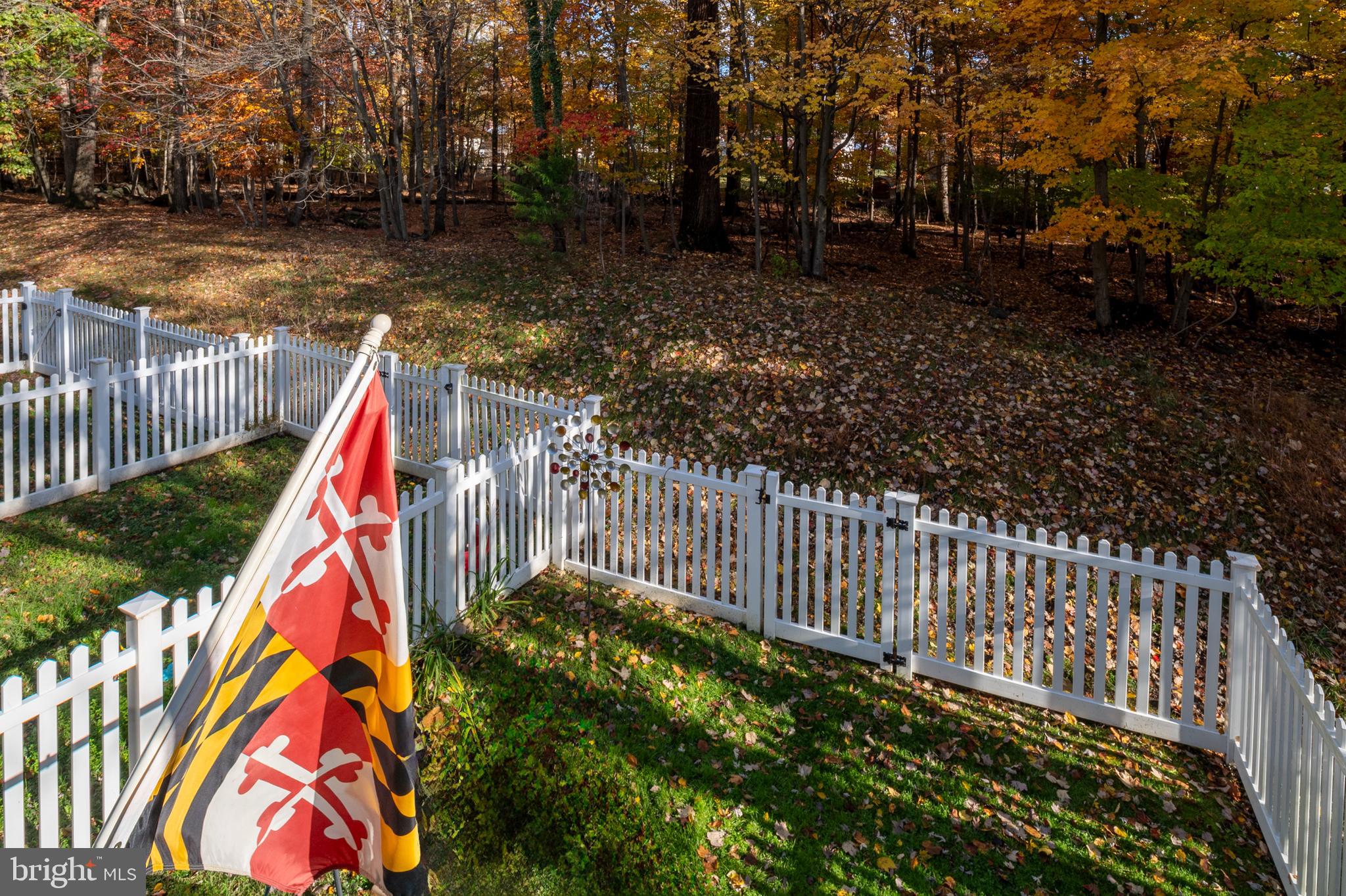 ELLICOTT MILLS - Residential