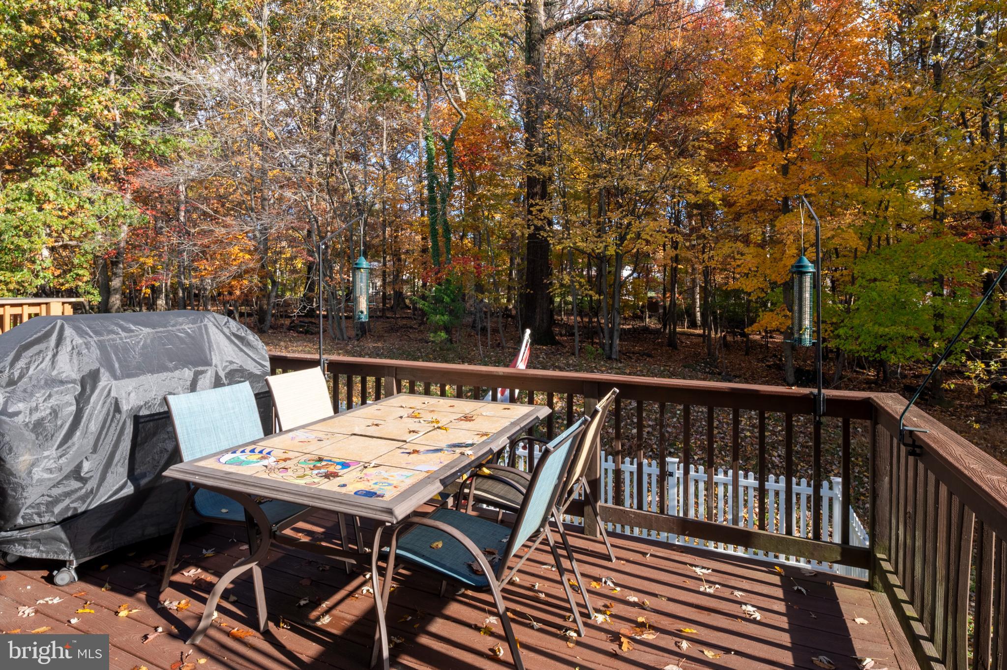 ELLICOTT MILLS - Residential