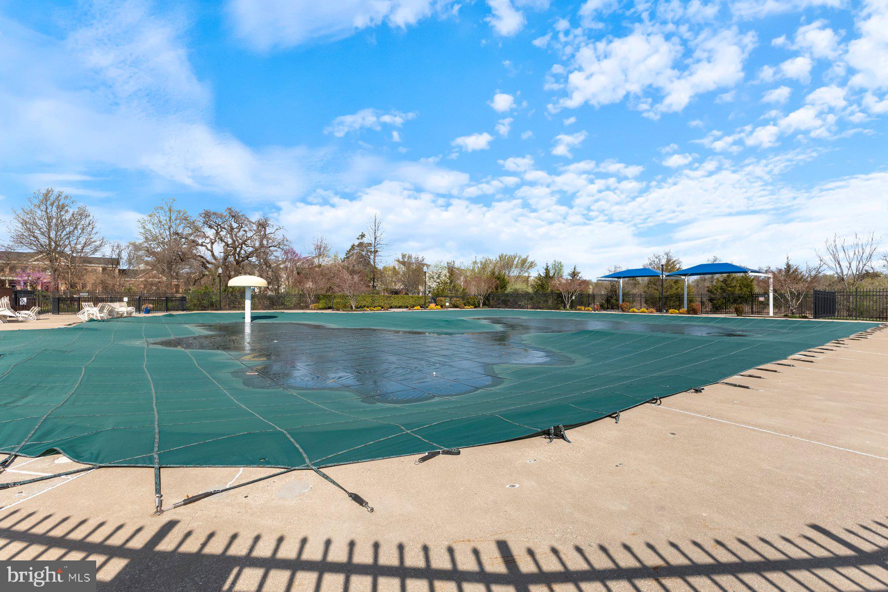 AMBERLEA AT SOUTH RIDING - Residential