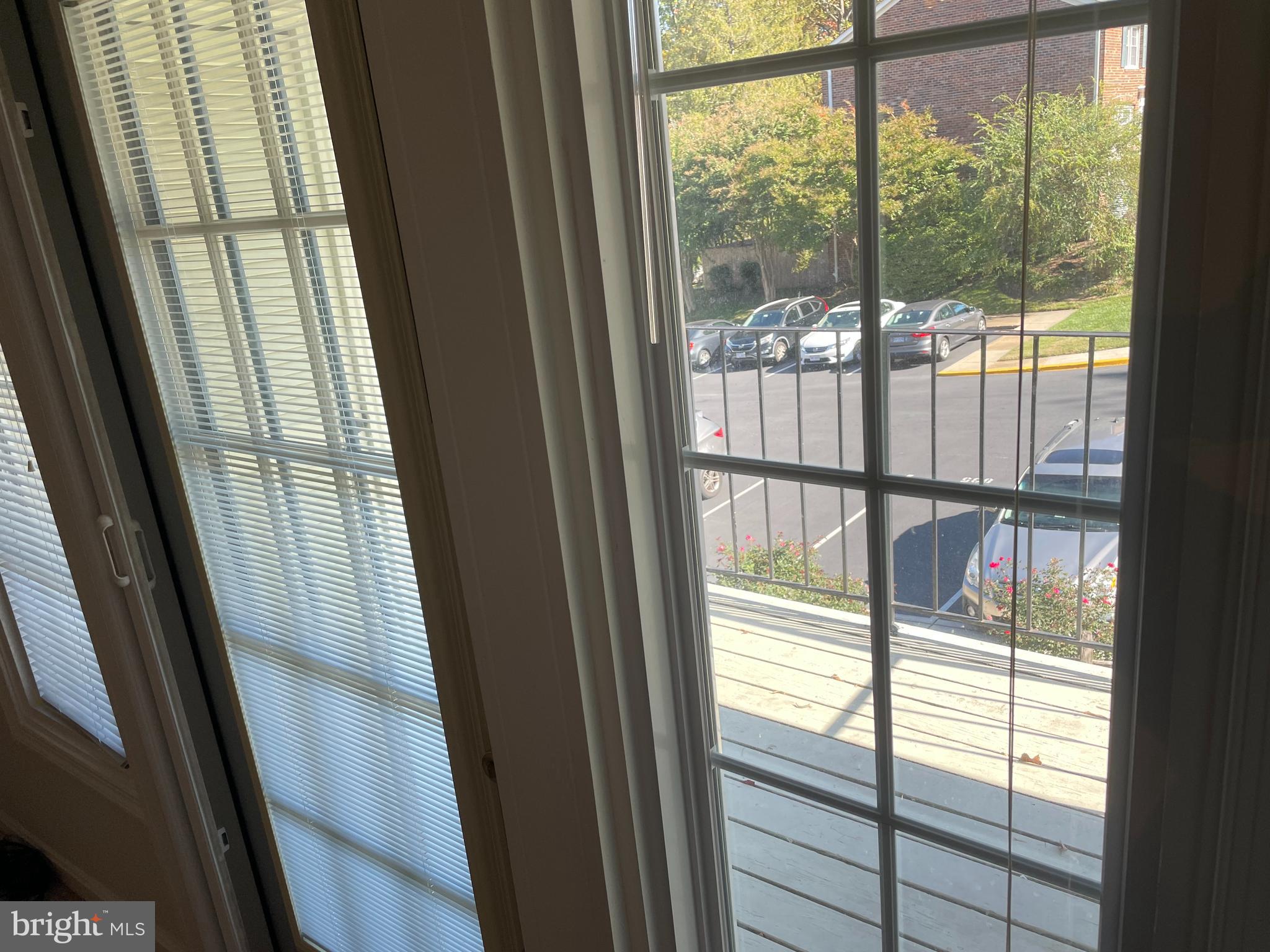 CARDINAL FOREST - Residential