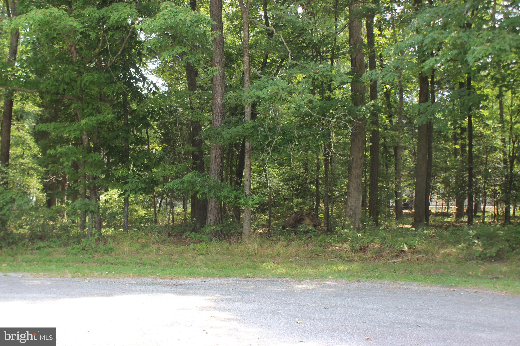 CAPTAIN'S COVE - Land