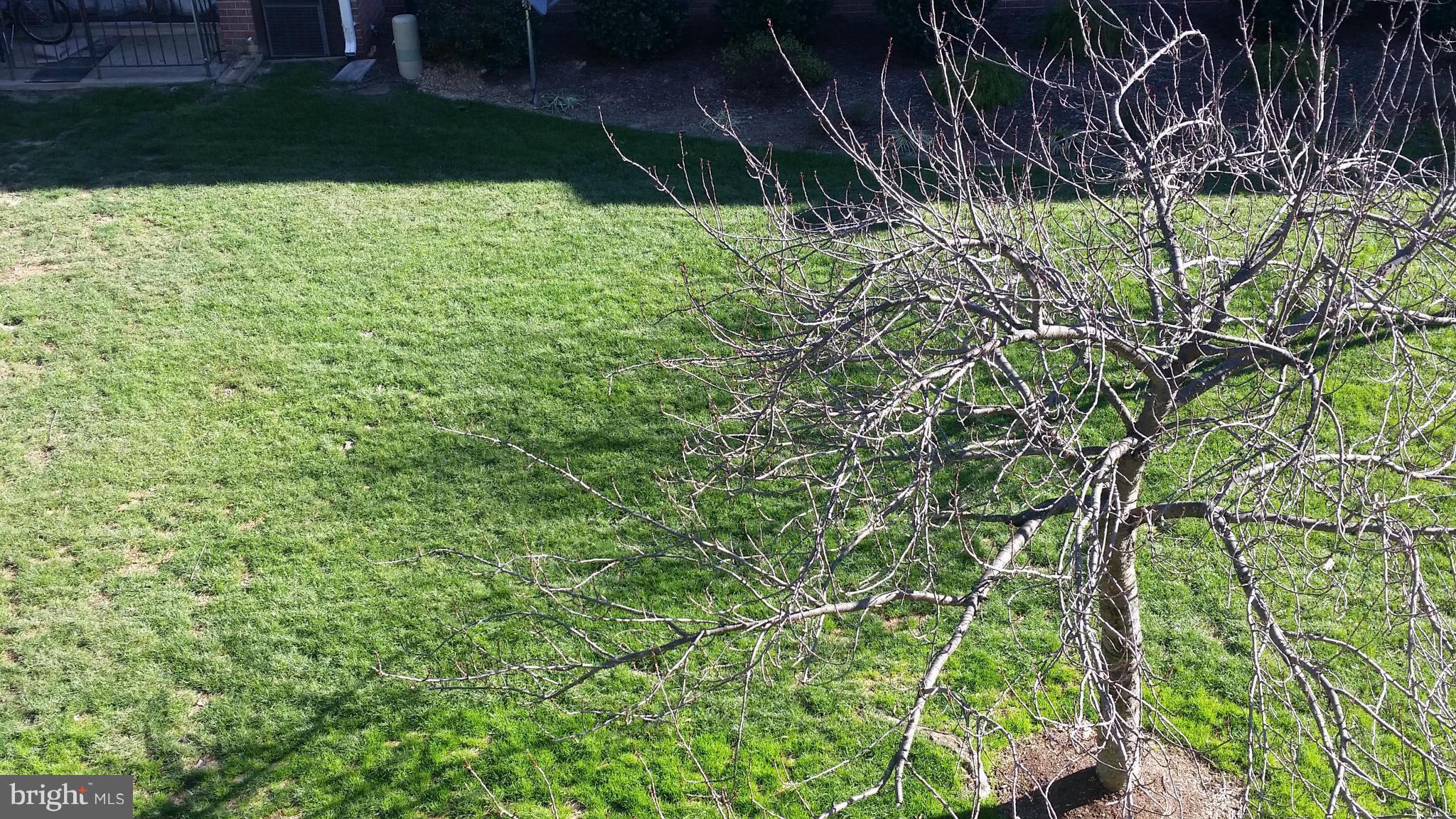 FALLS CHURCH GARDENS - Residential