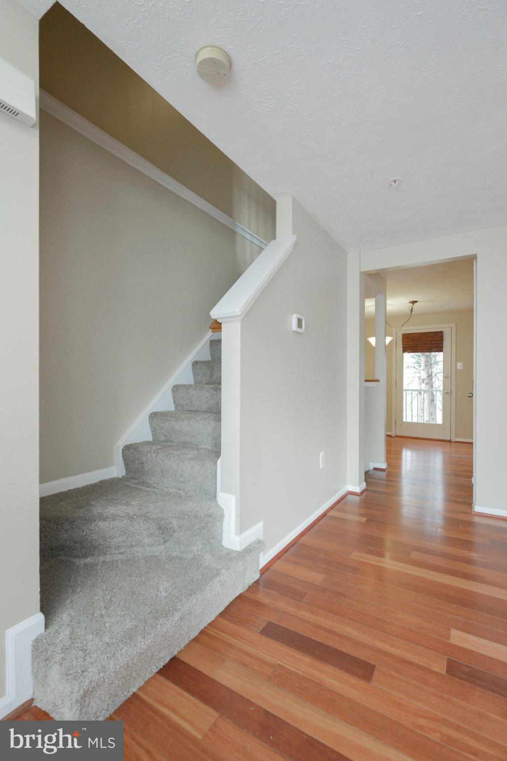 THE BLUFFS AT DEEP CREEK - Residential