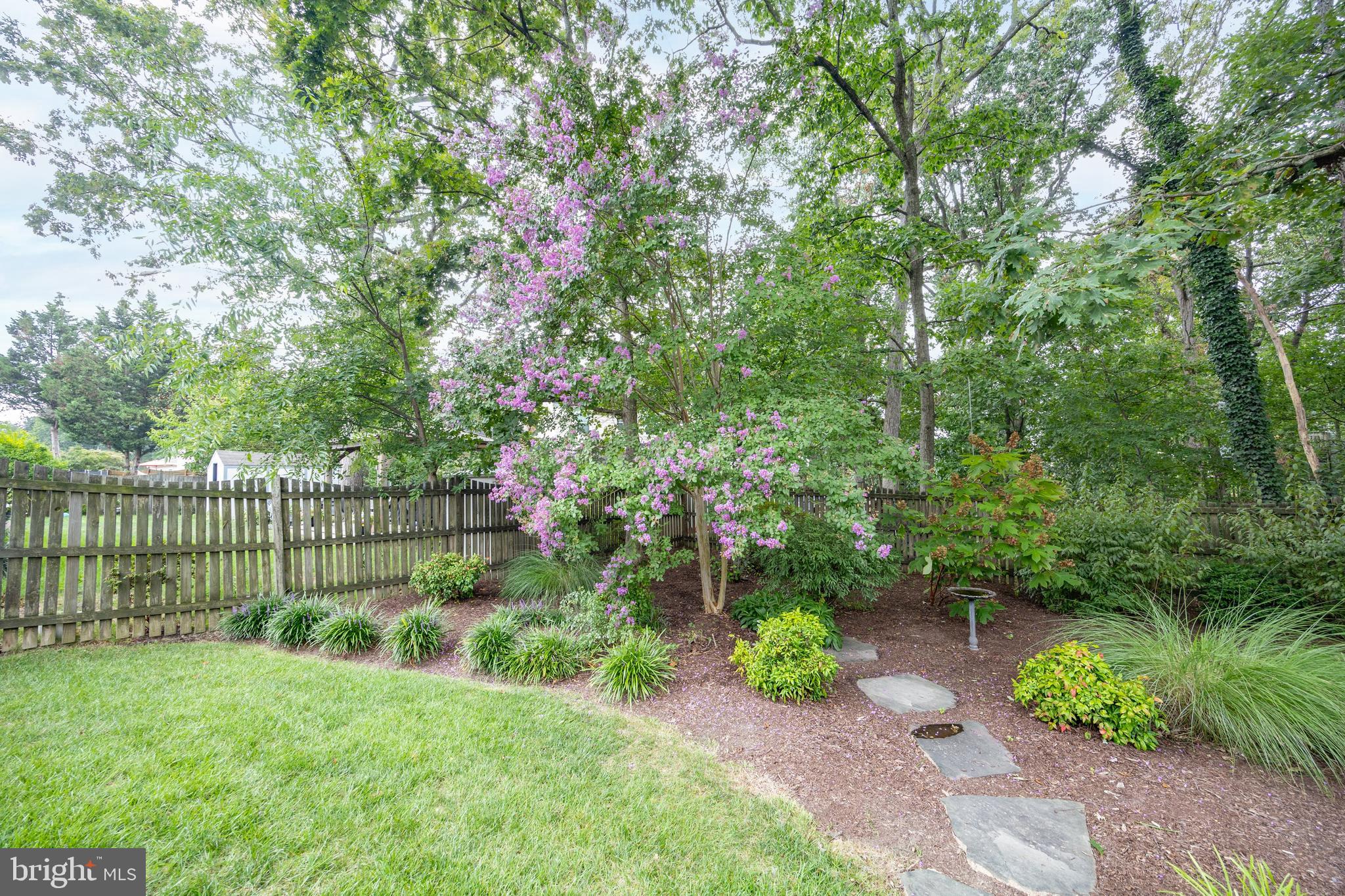 FRANCONIA FOREST - Residential