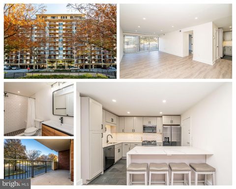 1300 ARMY NAVY DRIVE 128 ARLINGTON VA 22202