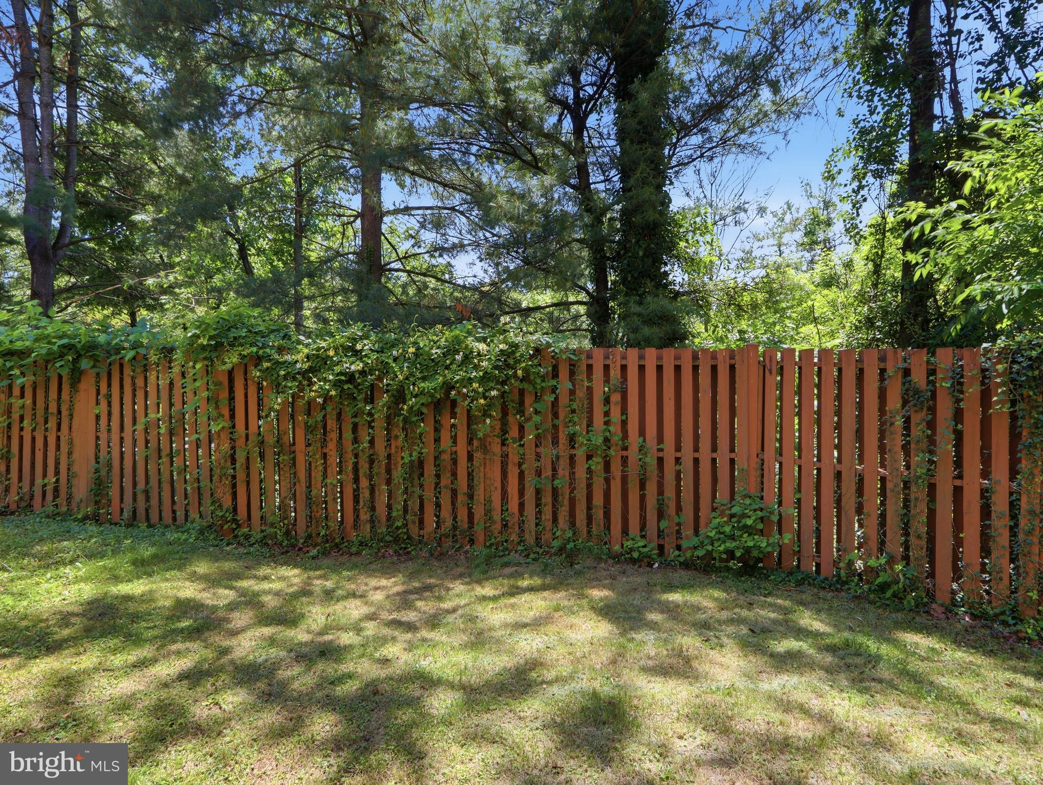 COURTLAND WOODS - Residential