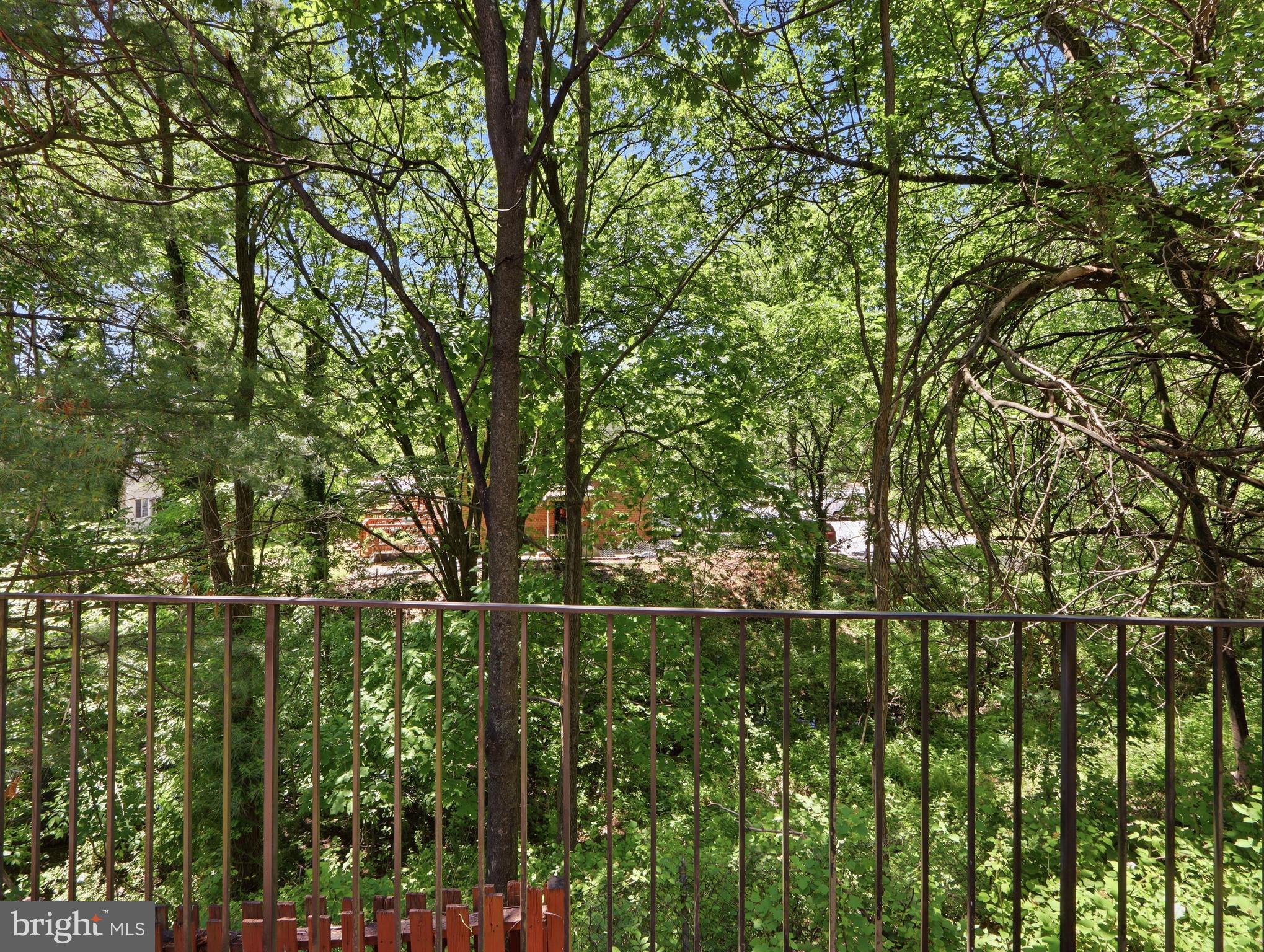 COURTLAND WOODS - Residential