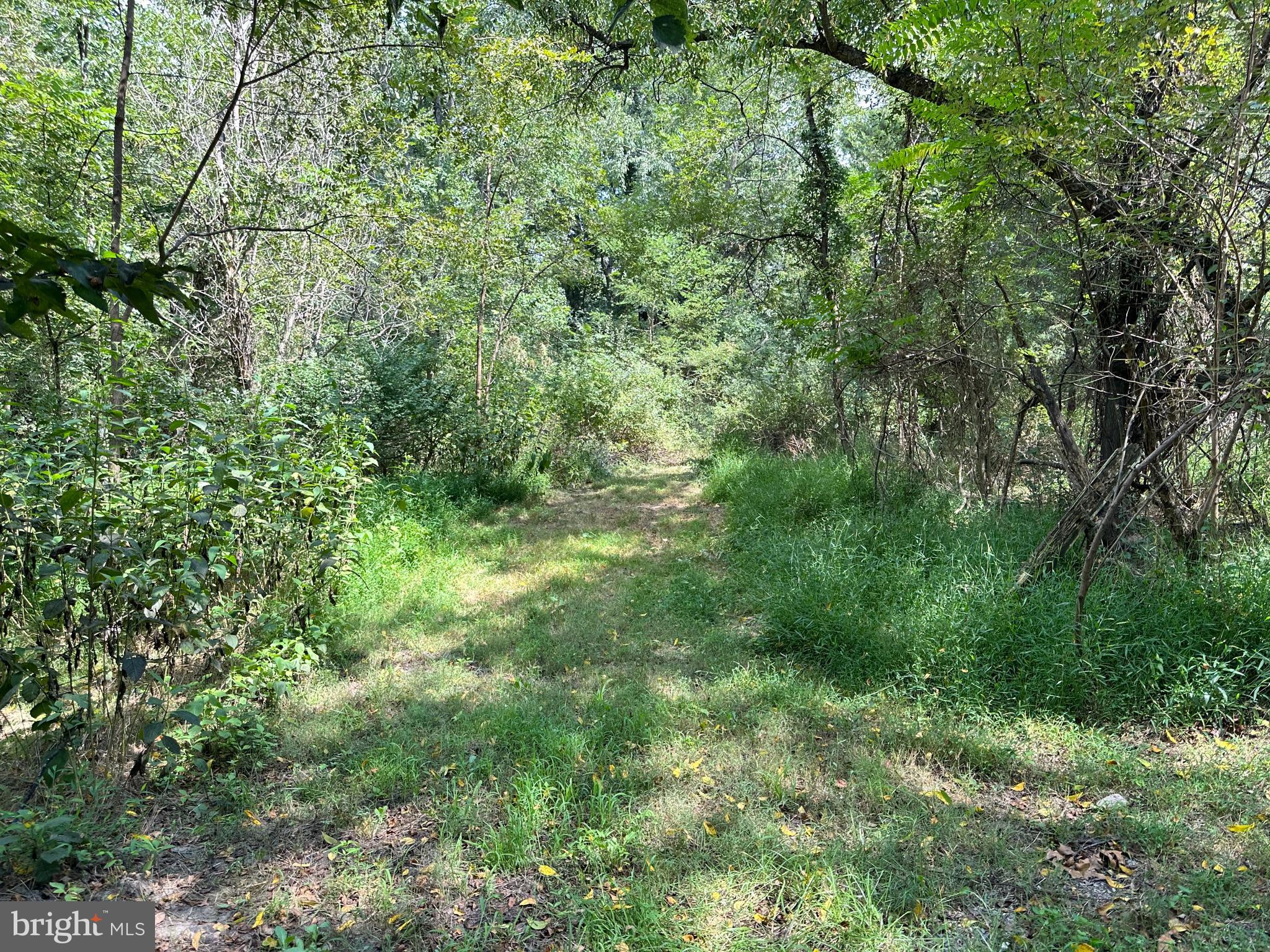 CAMPBELL HILL ROAD