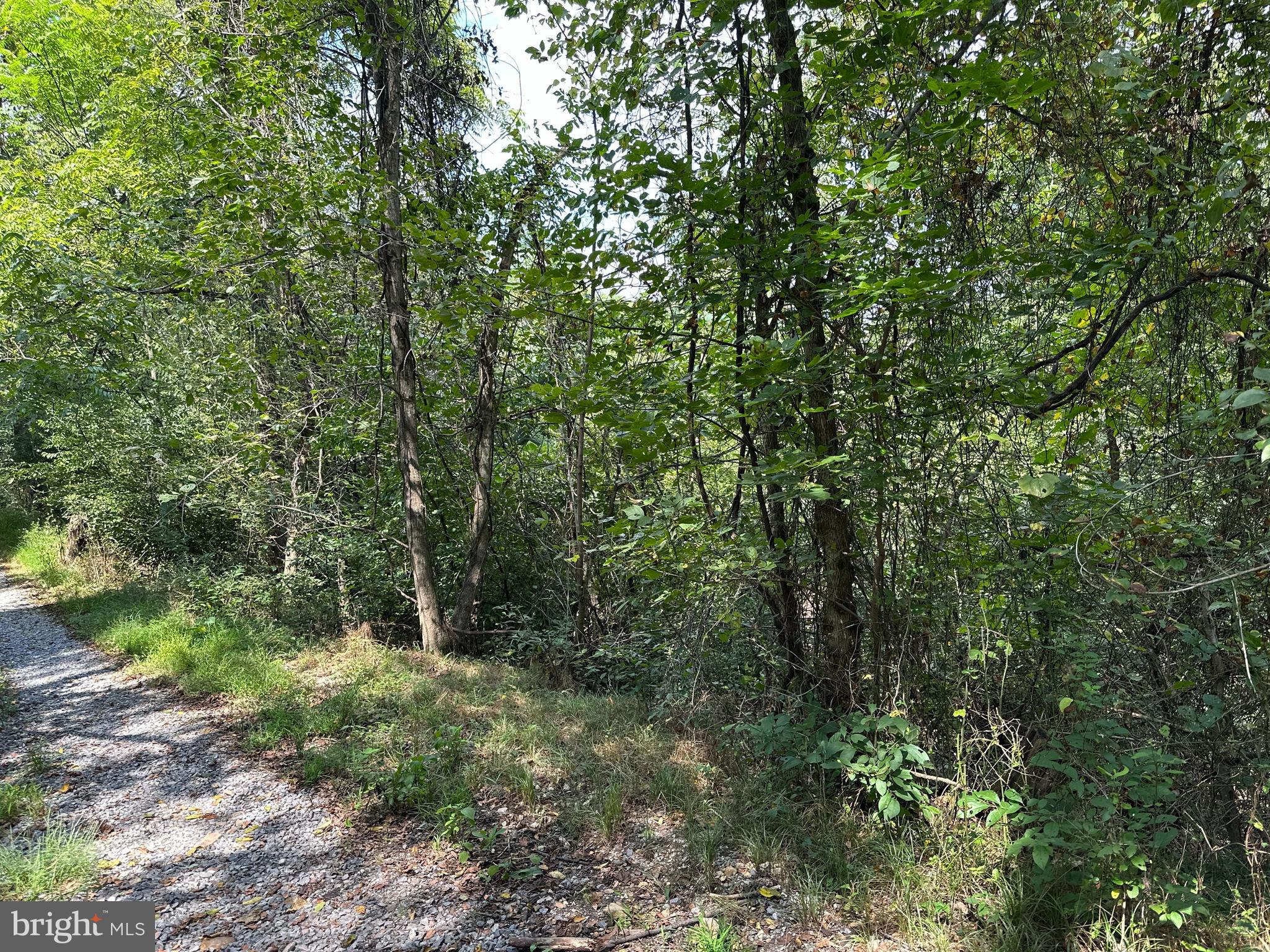 CAMPBELL HILL ROAD