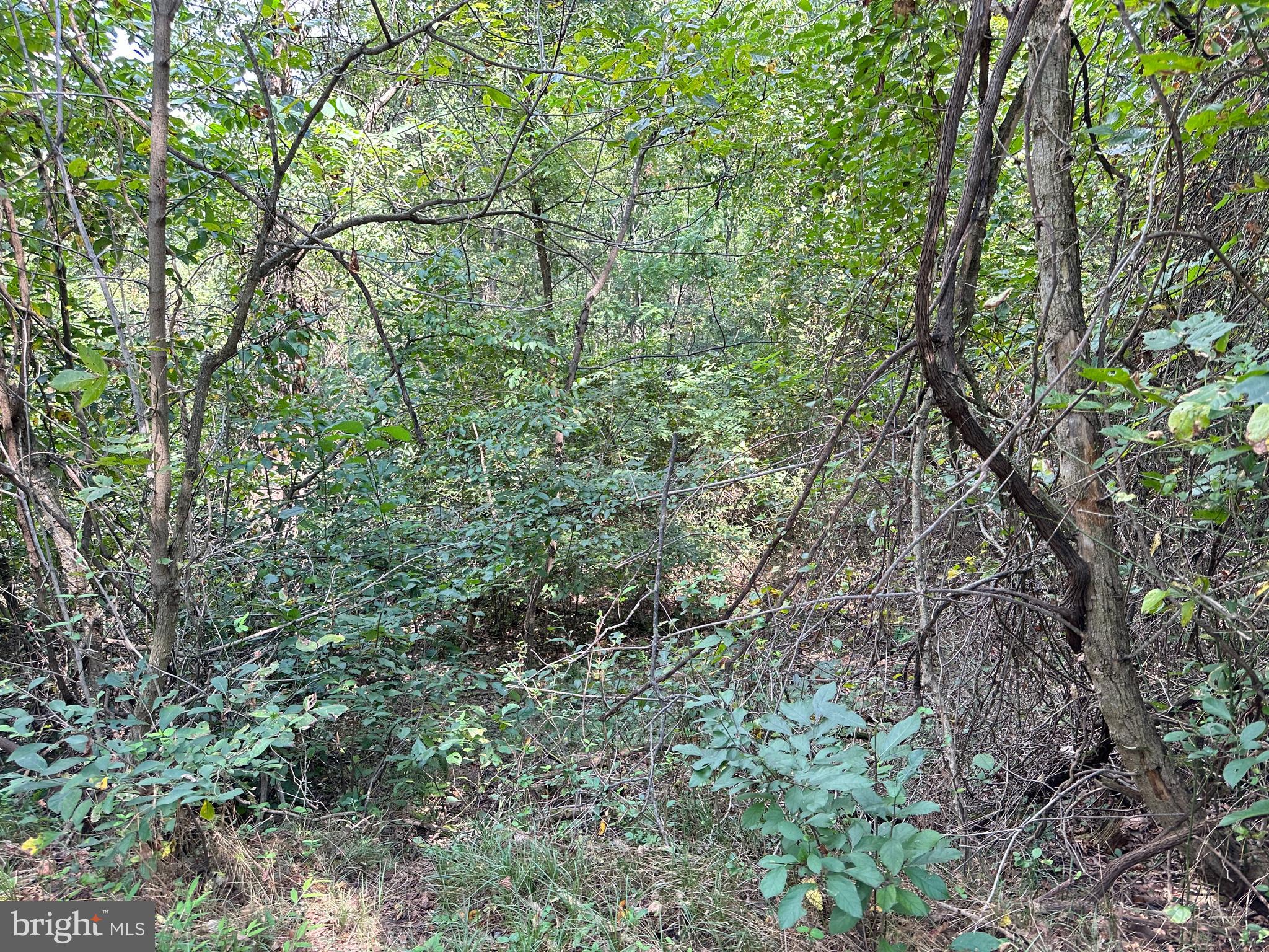CAMPBELL HILL ROAD