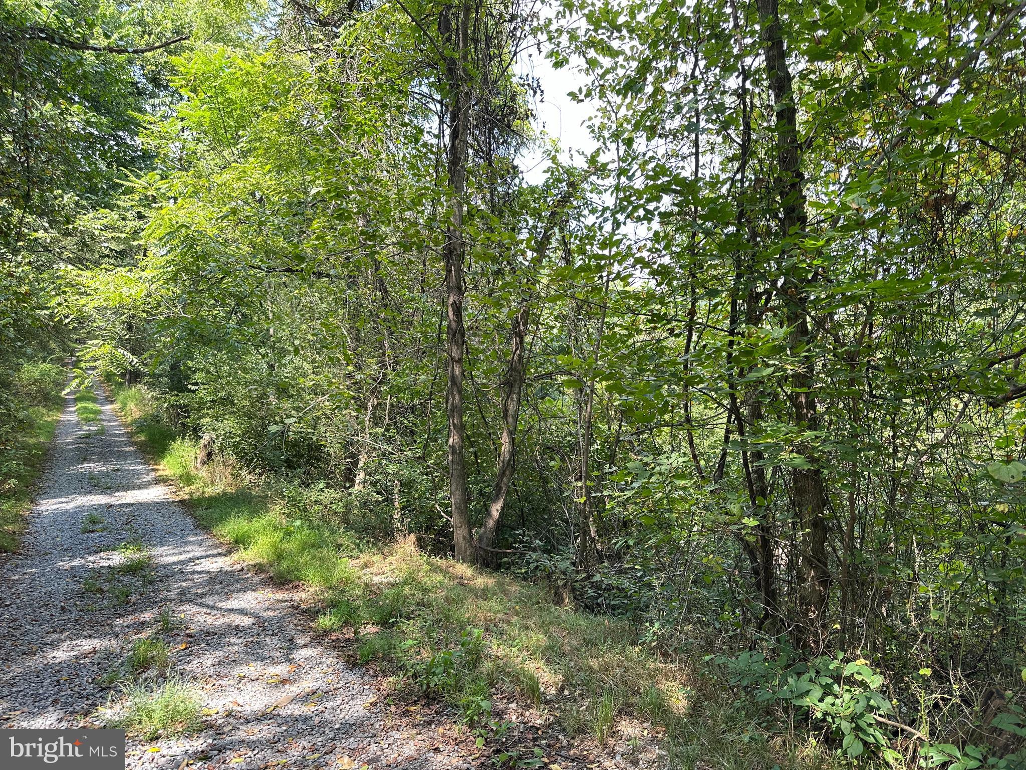 CAMPBELL HILL ROAD