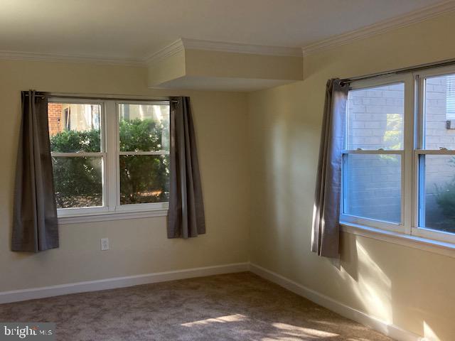 MAYFLOWER SQUARE - Residential