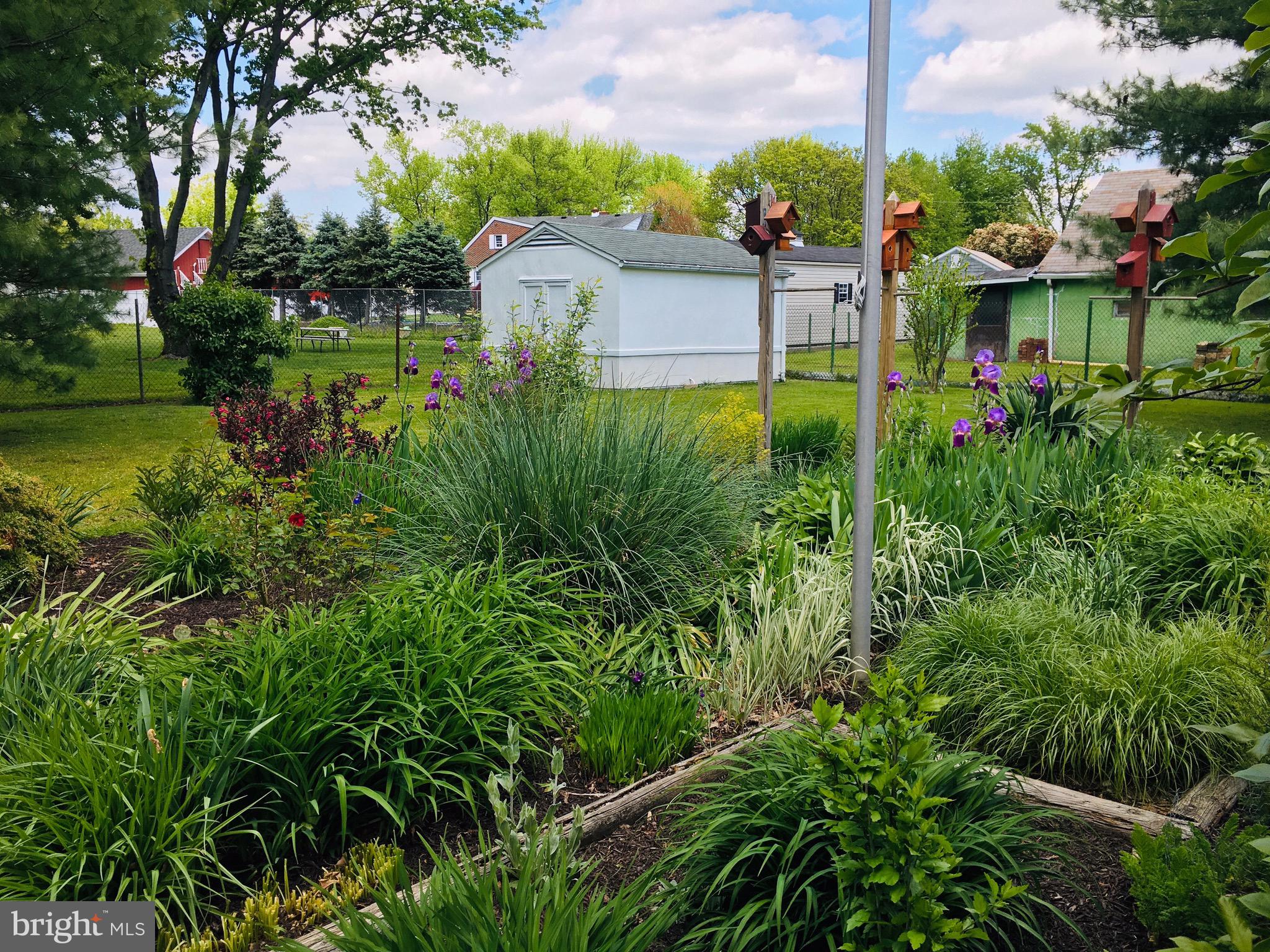 MIDDLEBOROUGH - Residential