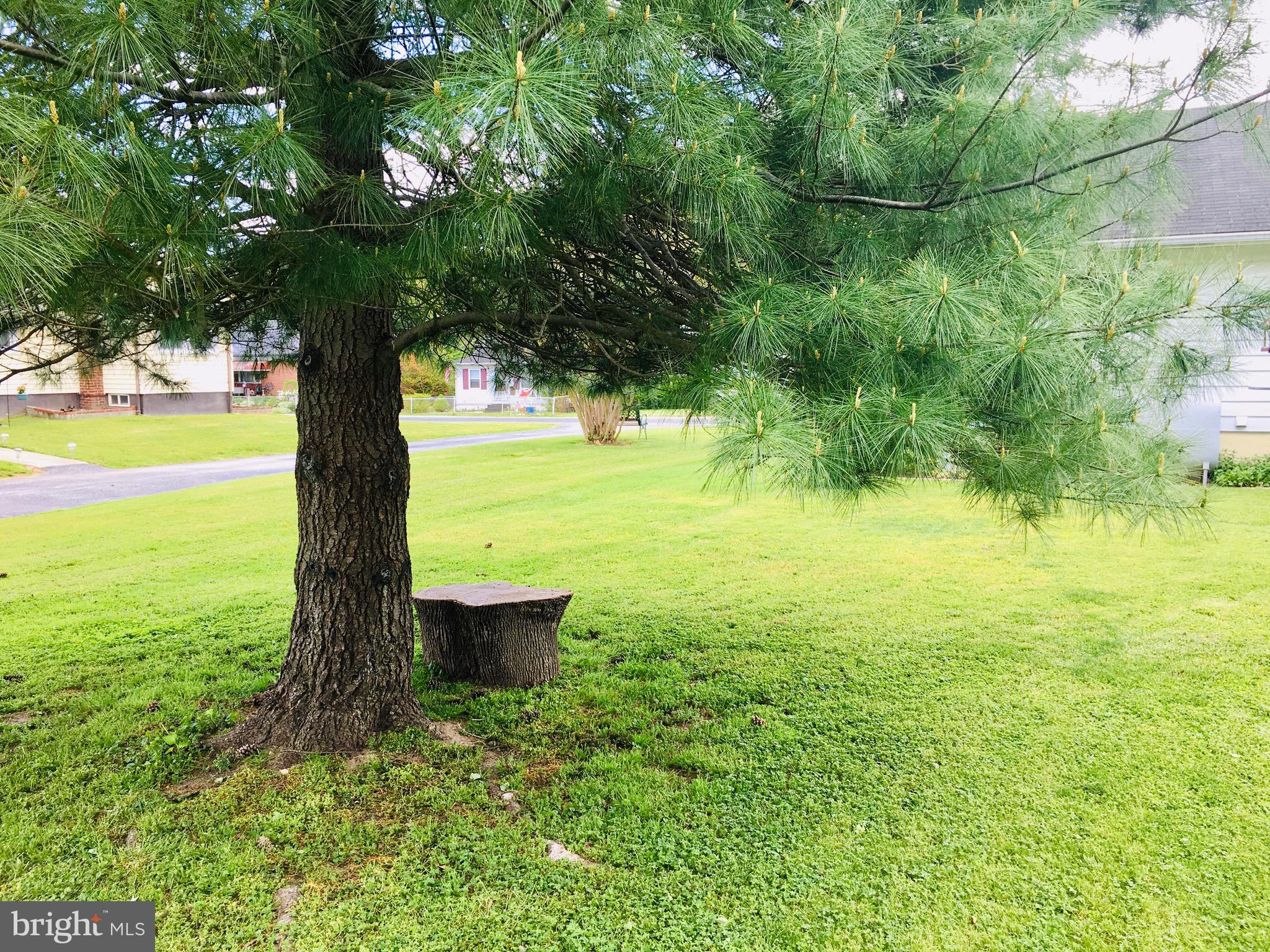 MIDDLEBOROUGH - Residential