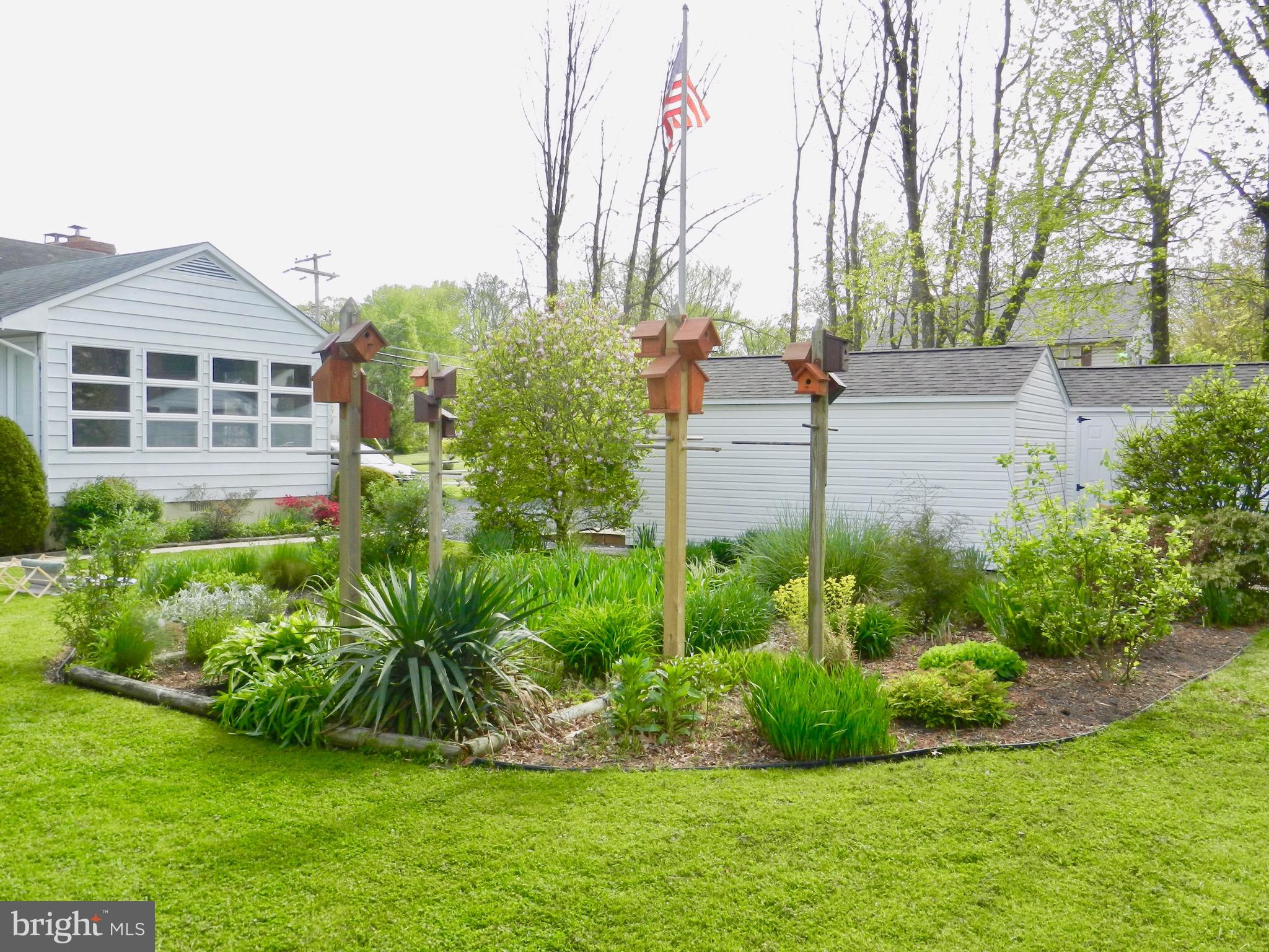 MIDDLEBOROUGH - Residential