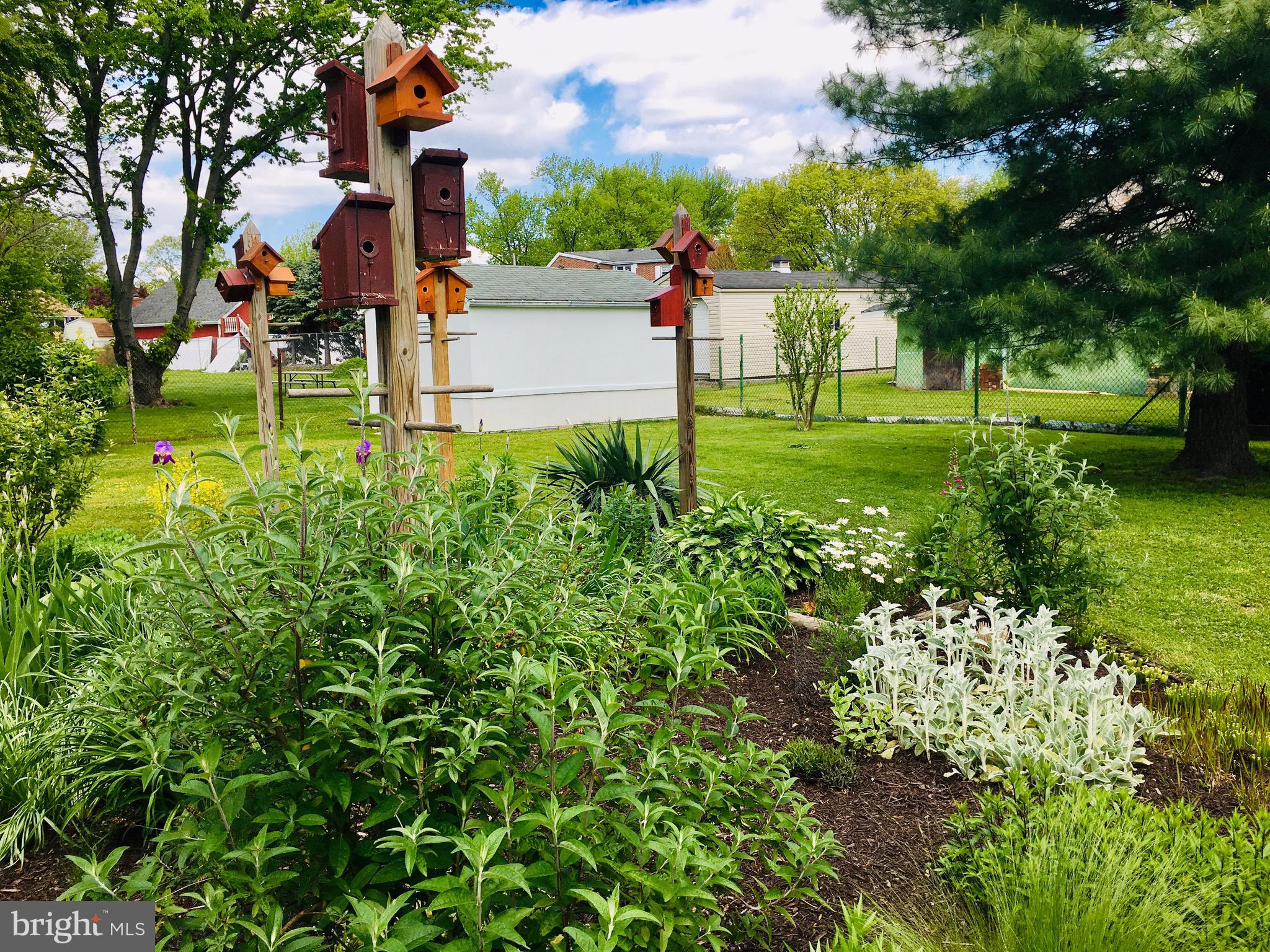 MIDDLEBOROUGH - Residential