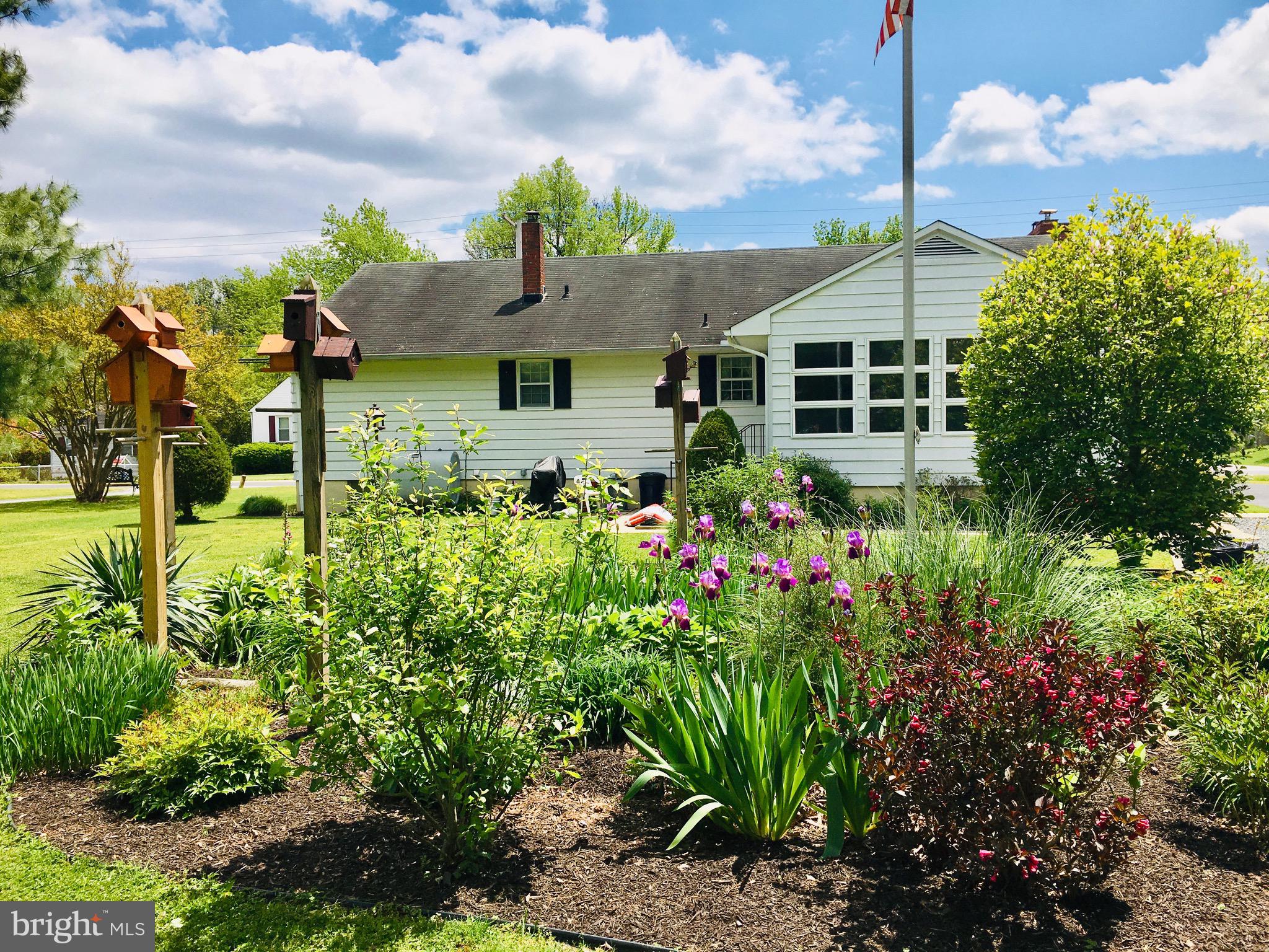 MIDDLEBOROUGH - Residential