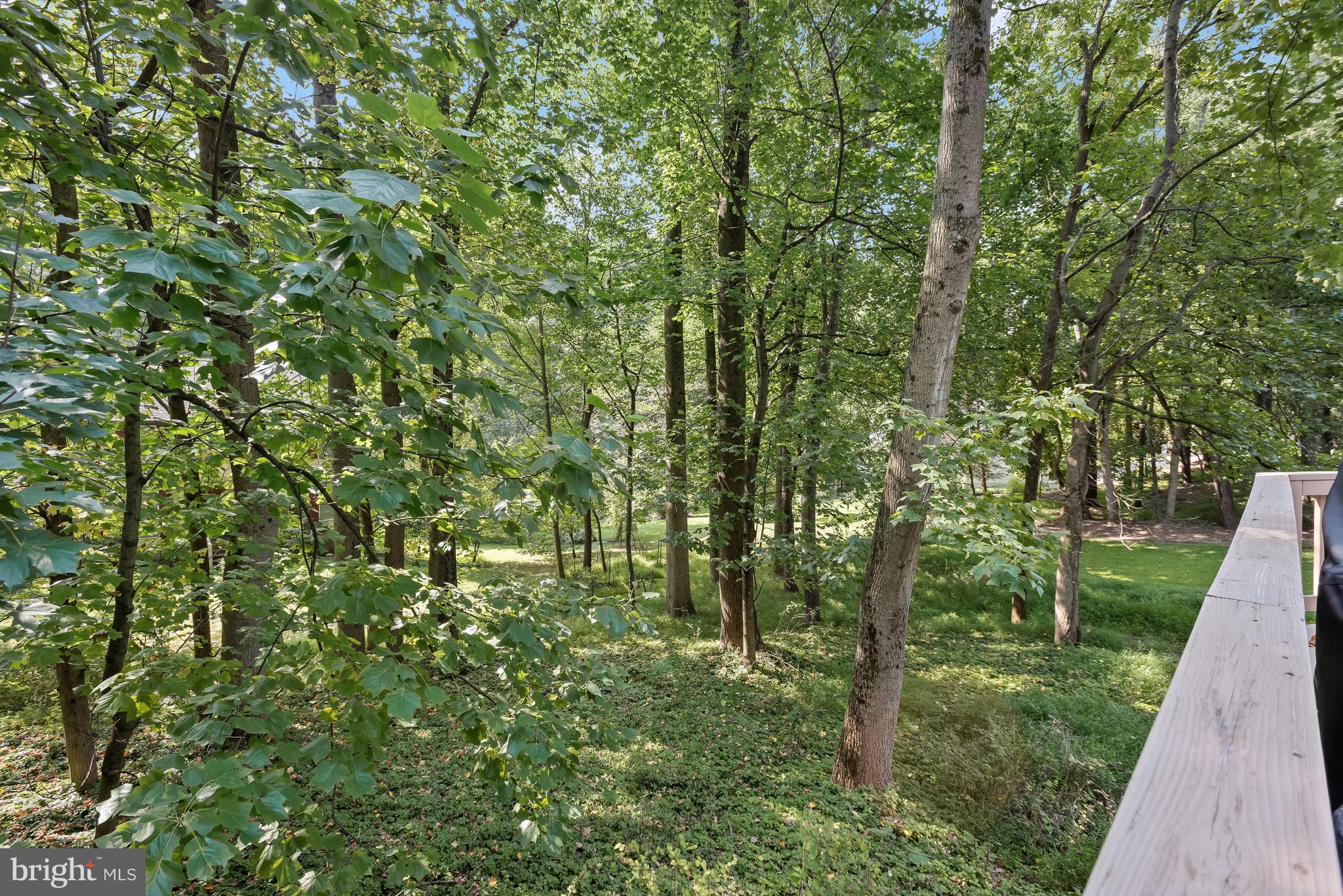 DORSEY HALL - Residential