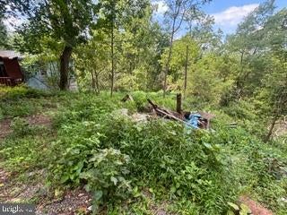 90 HILLDALE ROAD
