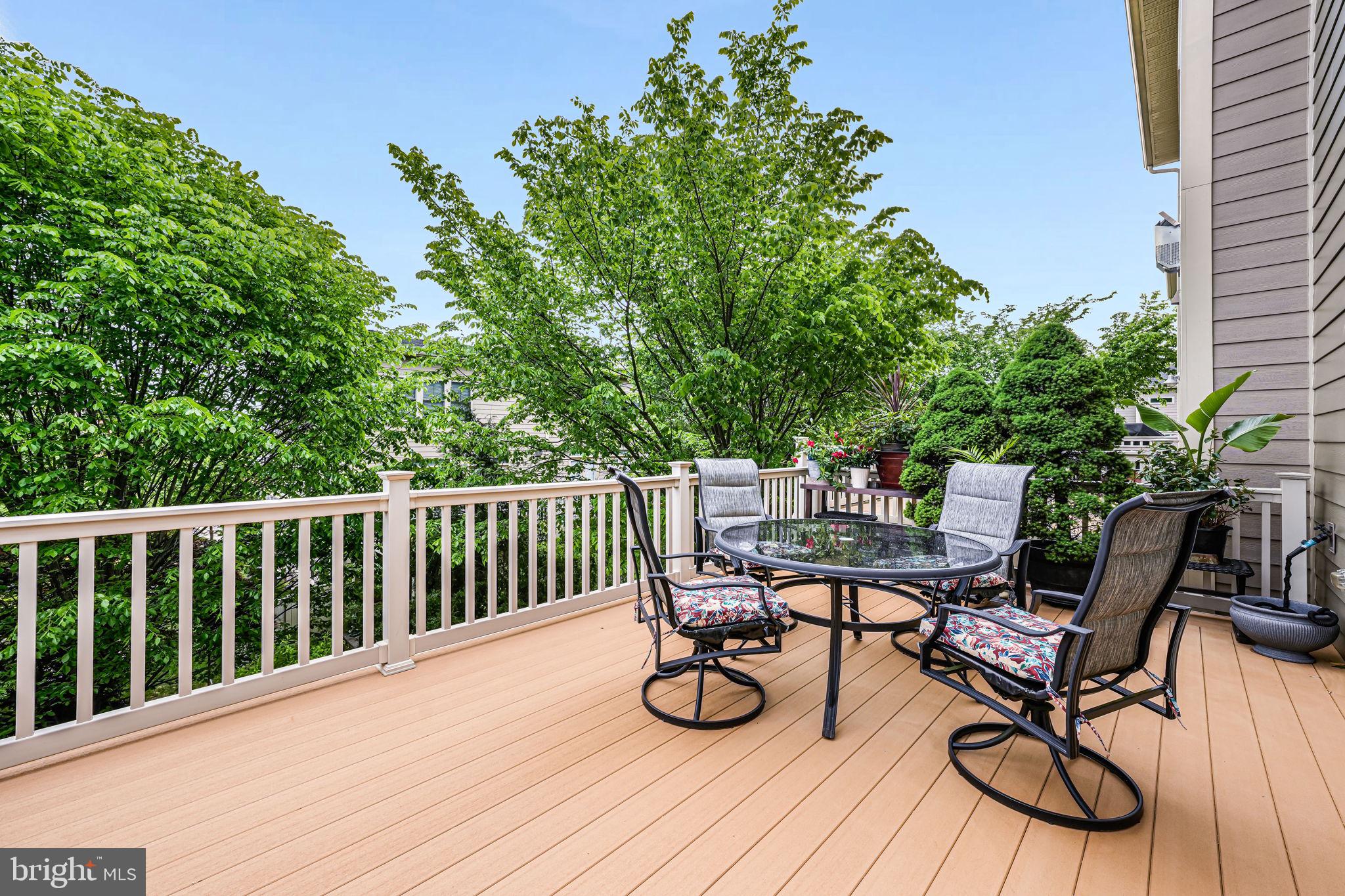 CHESTNUT PLACE - Residential