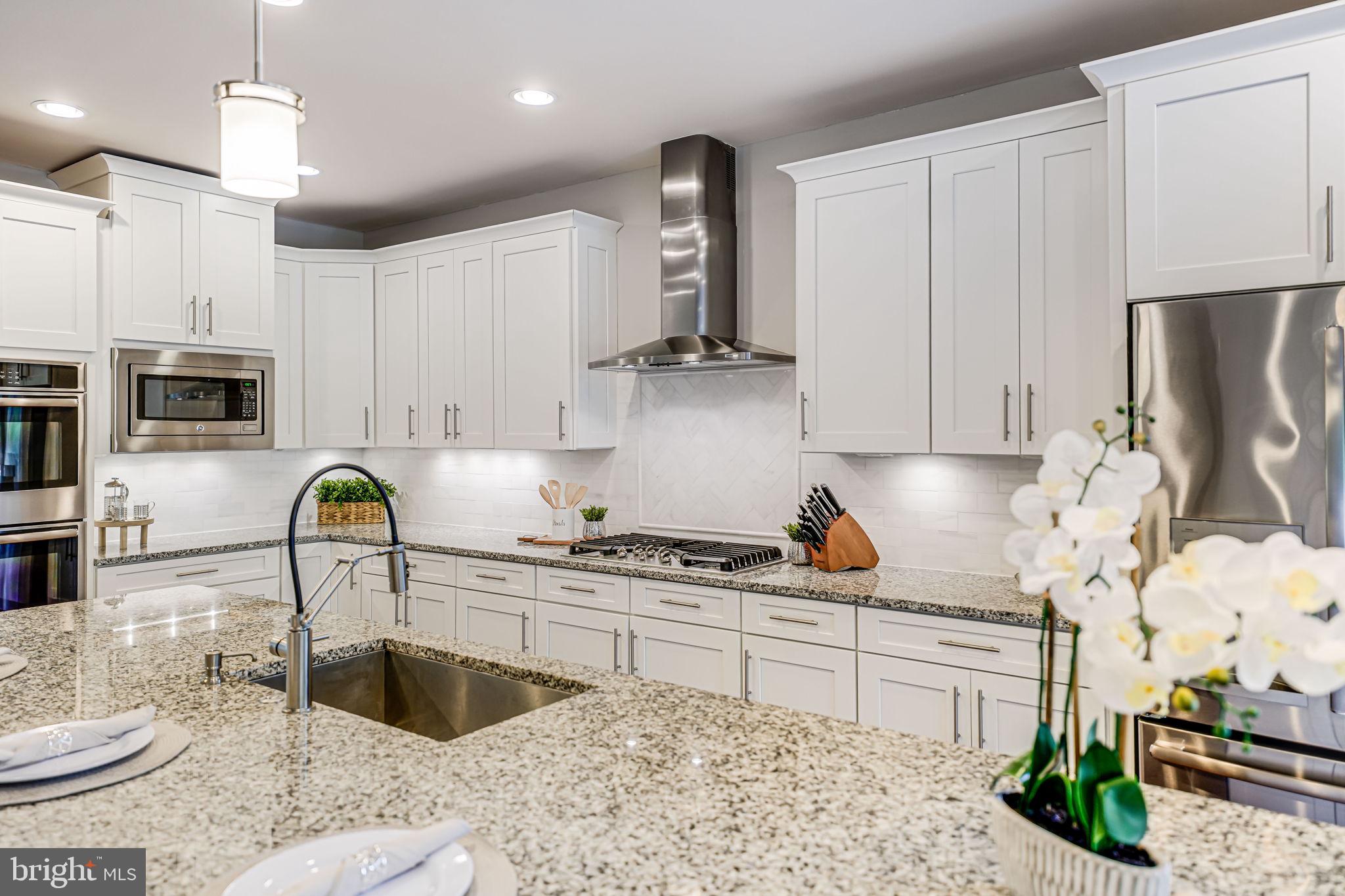 CHESTNUT PLACE - Residential