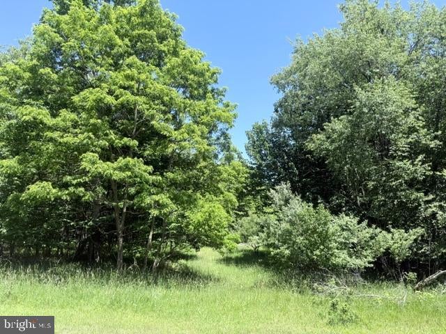 Lot 81 SUNDANCE WAY
