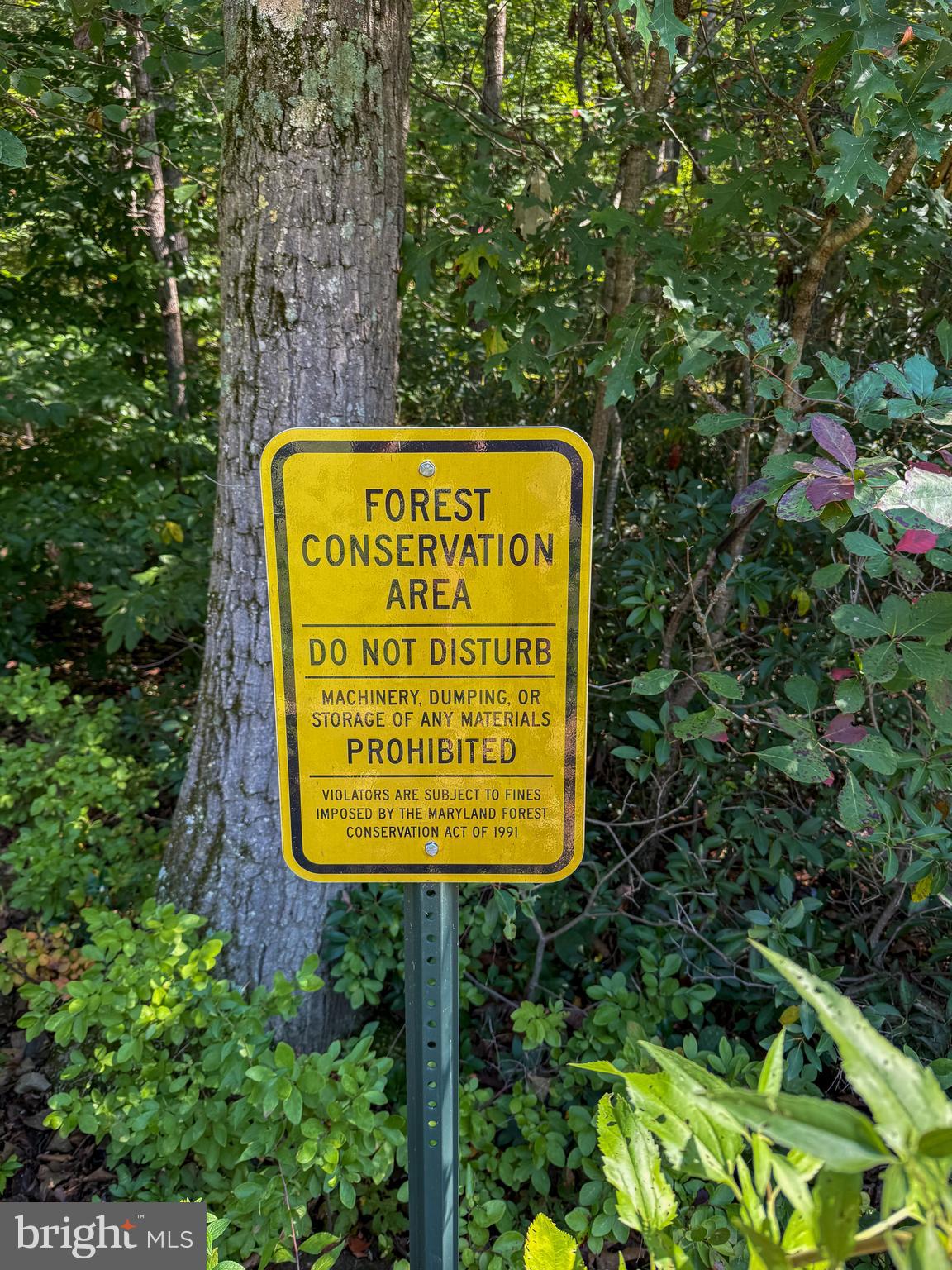 RIDGELY FOREST - Residential Lease