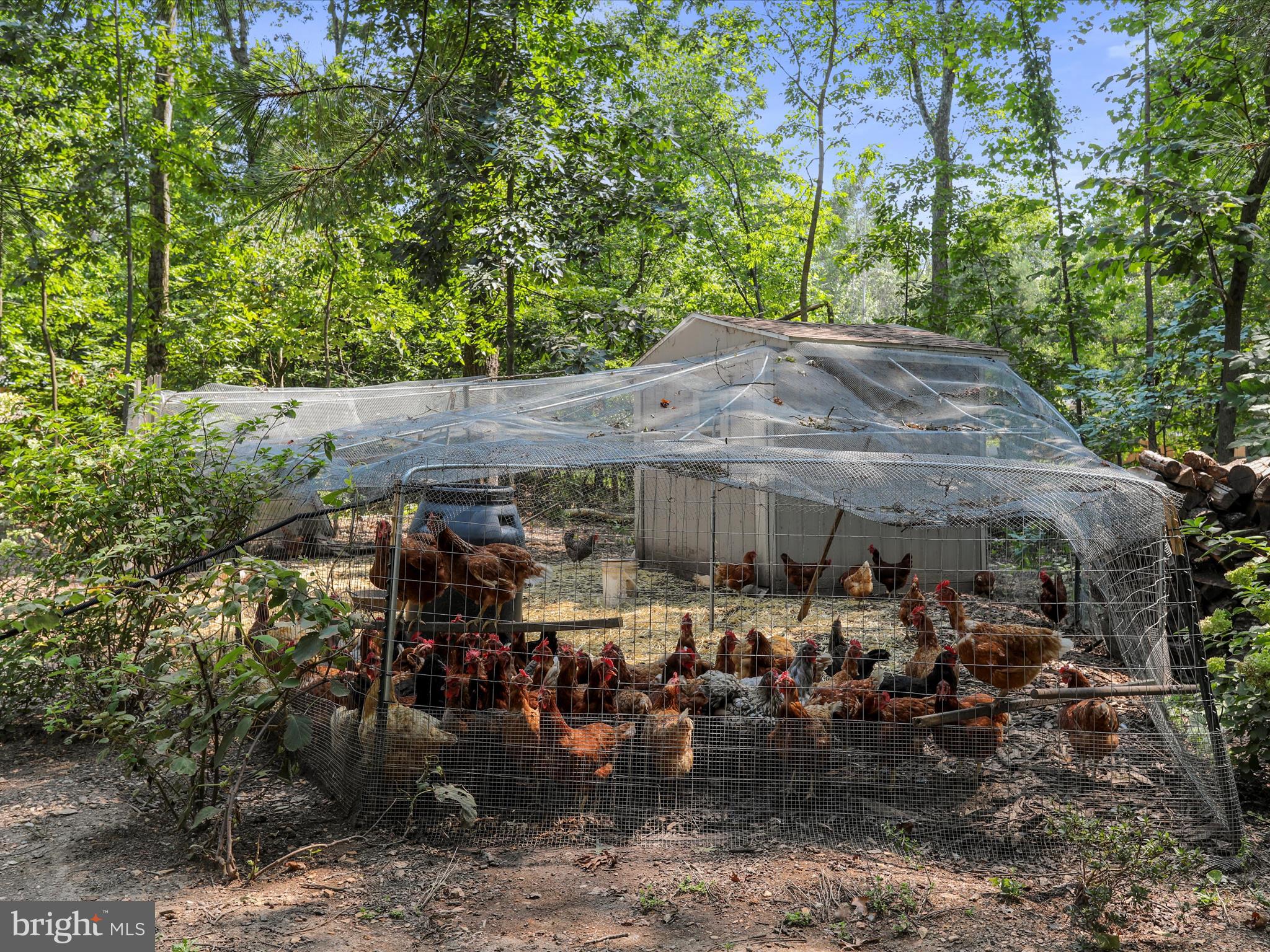 SHANNONDALE - Residential