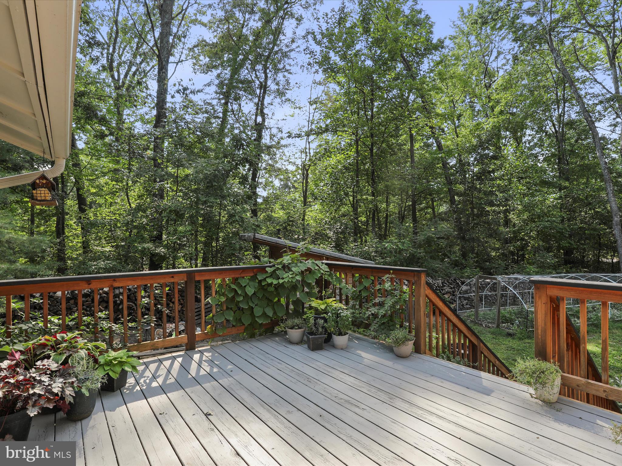 SHANNONDALE - Residential