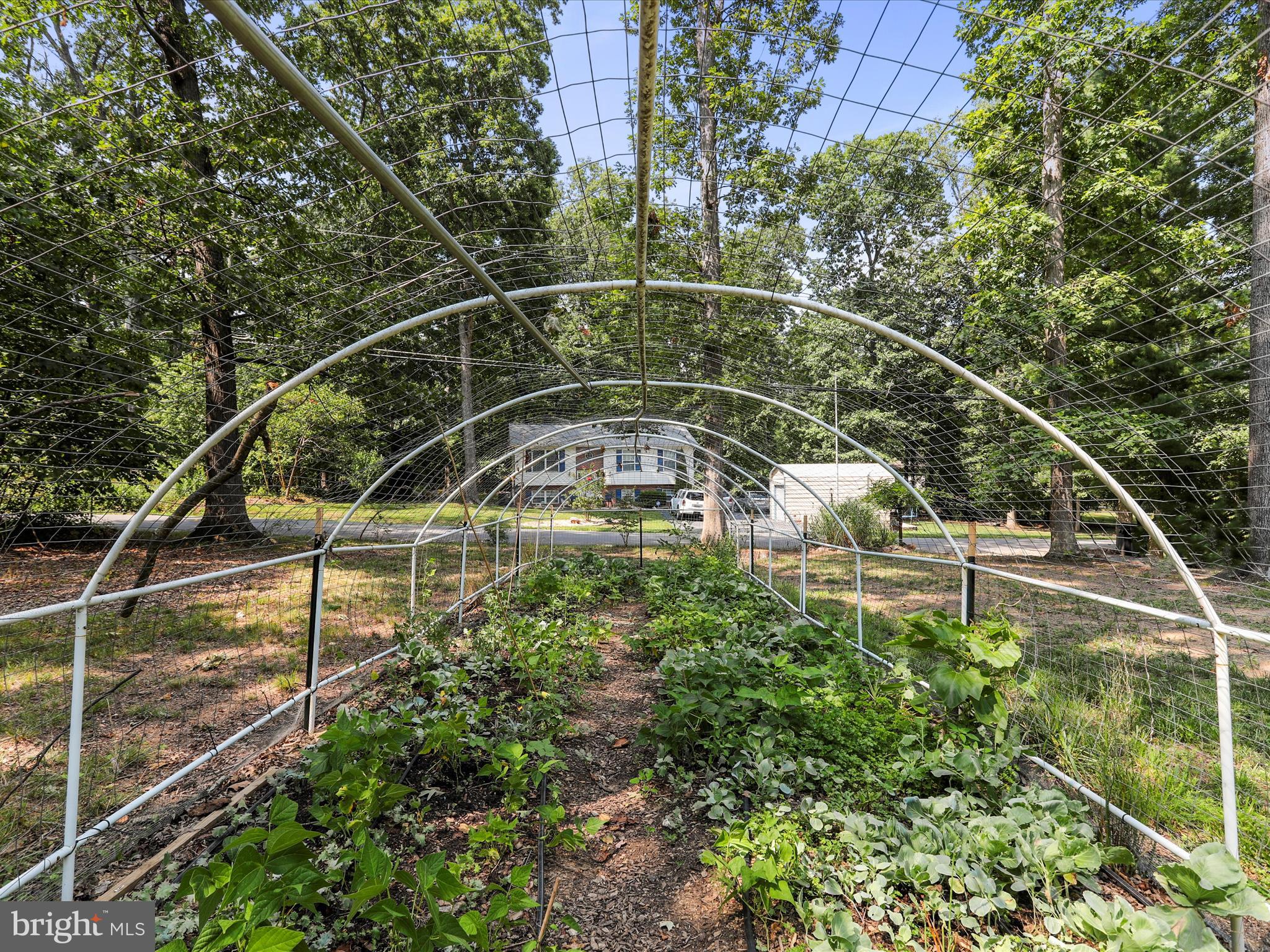 SHANNONDALE - Residential