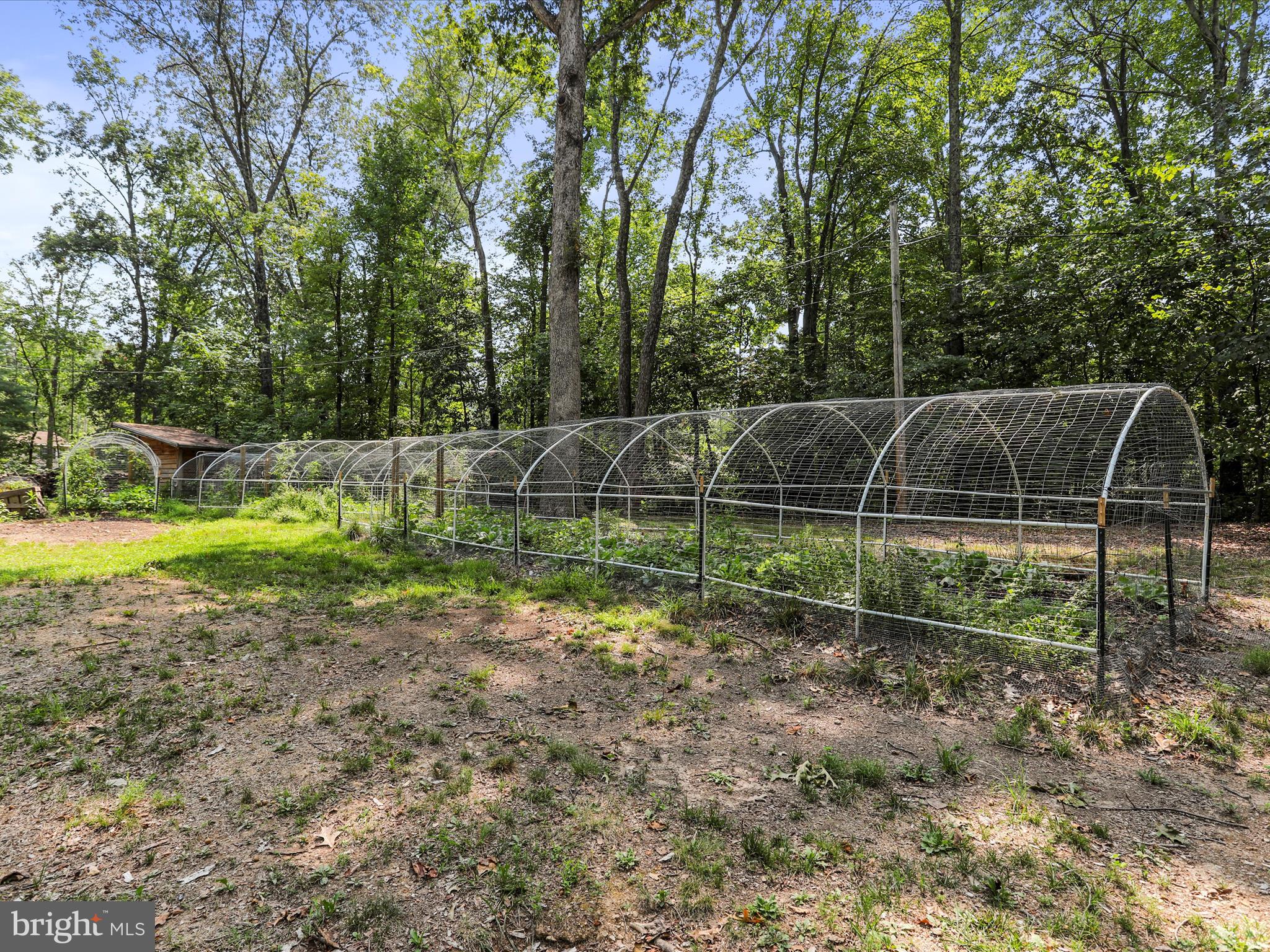 SHANNONDALE - Residential