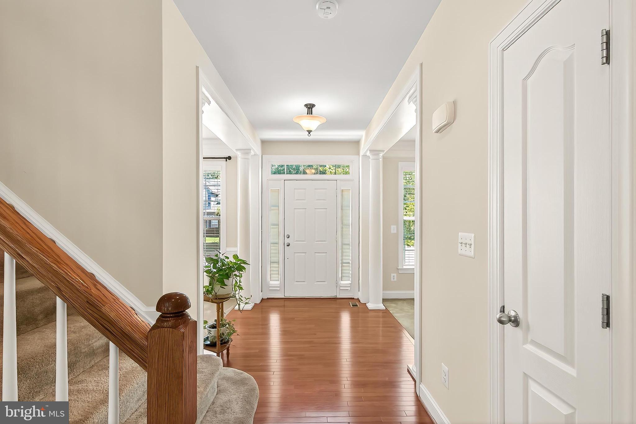 CARDINAL POINTE - Residential