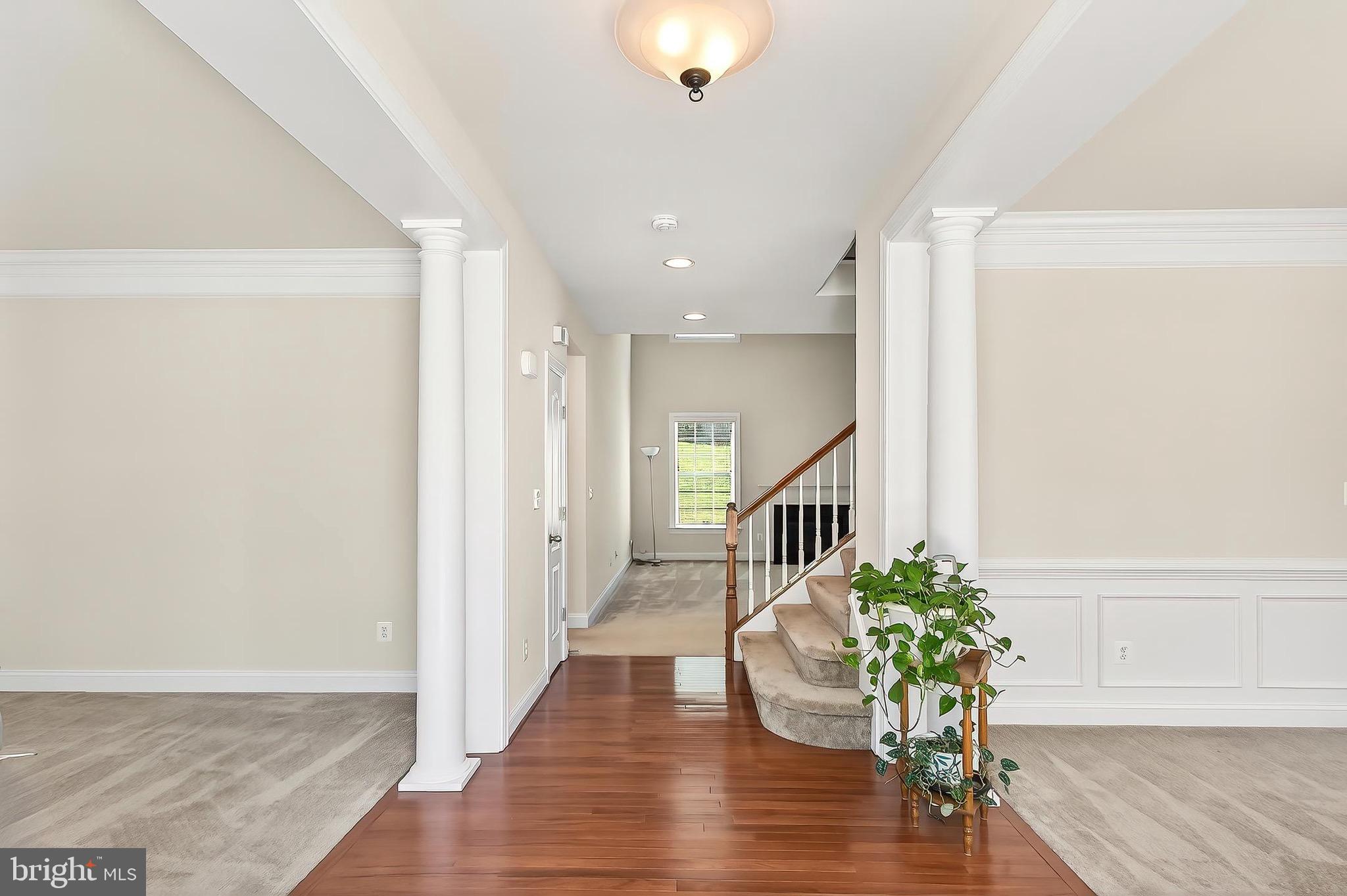 CARDINAL POINTE - Residential