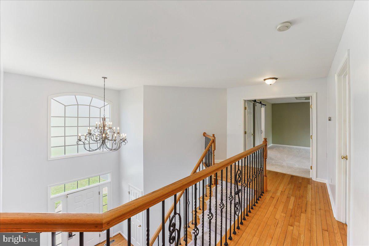 CONCORD WOODS - Residential