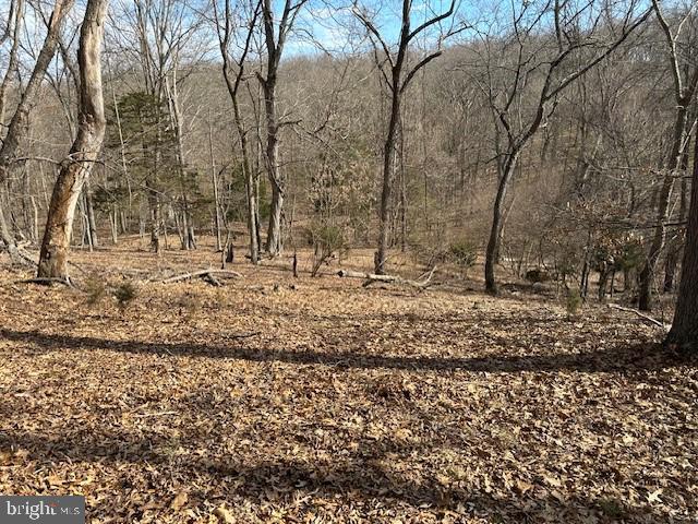 CABIN ON THE MOUNTAIN - Land