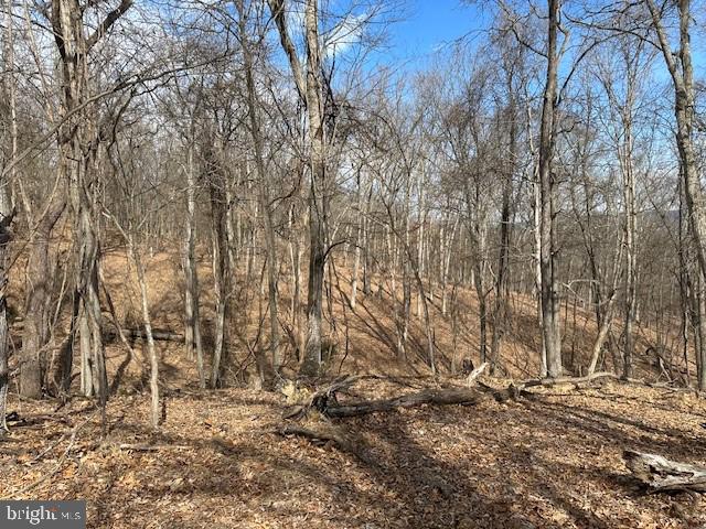 CABIN ON THE MOUNTAIN - Land