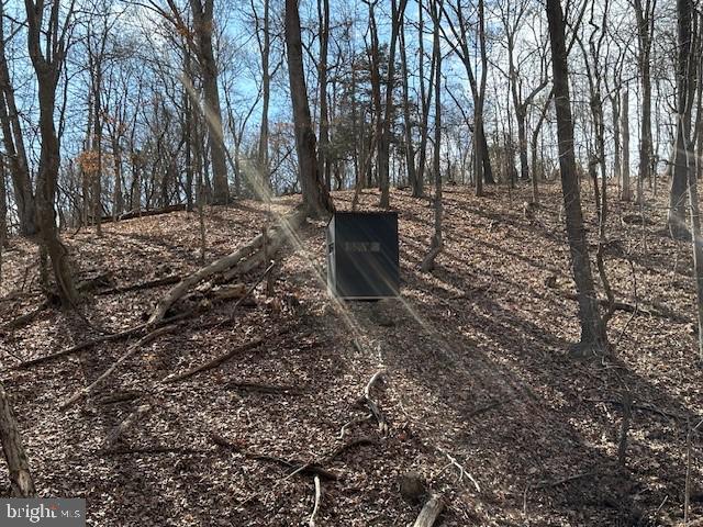 CABIN ON THE MOUNTAIN - Land