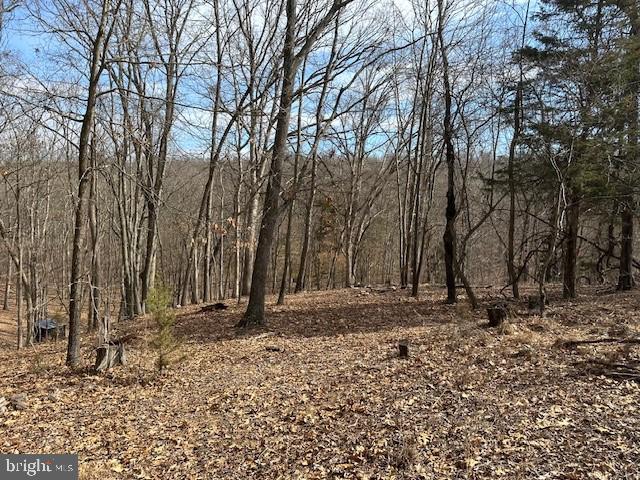CABIN ON THE MOUNTAIN - Land