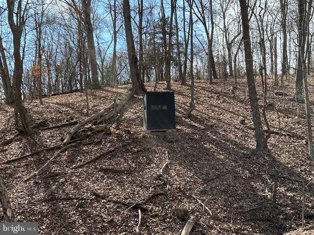 CABIN ON THE MOUNTAIN - Land