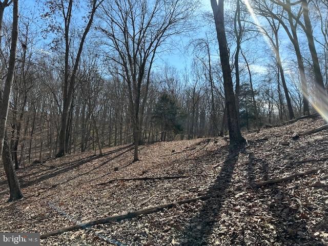 CABIN ON THE MOUNTAIN - Land