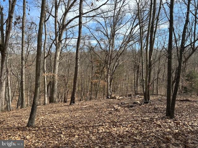 CABIN ON THE MOUNTAIN - Land